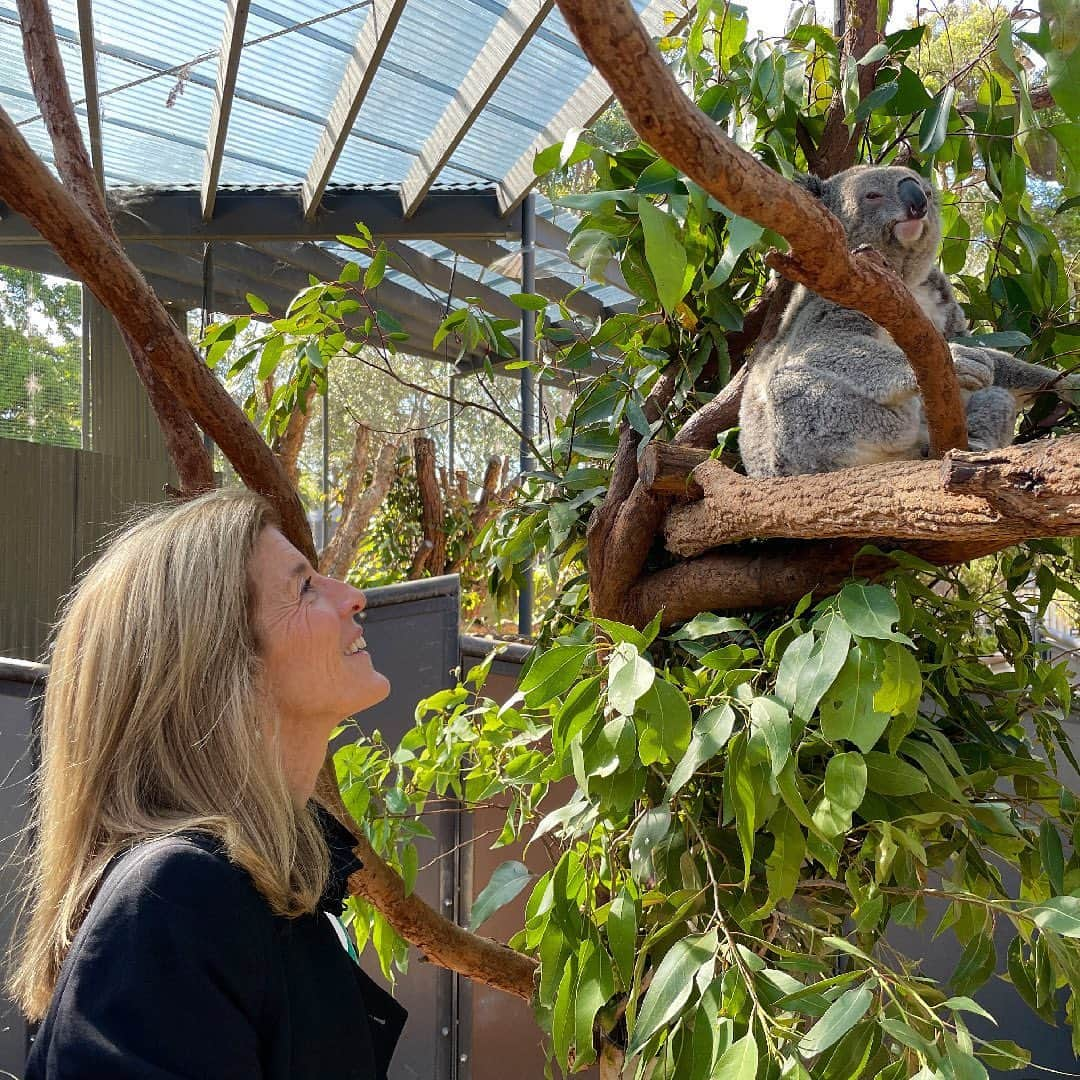 キャロライン・ケネディのインスタグラム：「Ambassador Caroline Kennedy is now United States Ambassador to Australia! 🇦🇺  To keep up to date with Ambassador Kennedy’s time Down Under please follow our friends at @usembassyaustralia as this account is no longer in use! 🐨🦘  #USwithAUS」