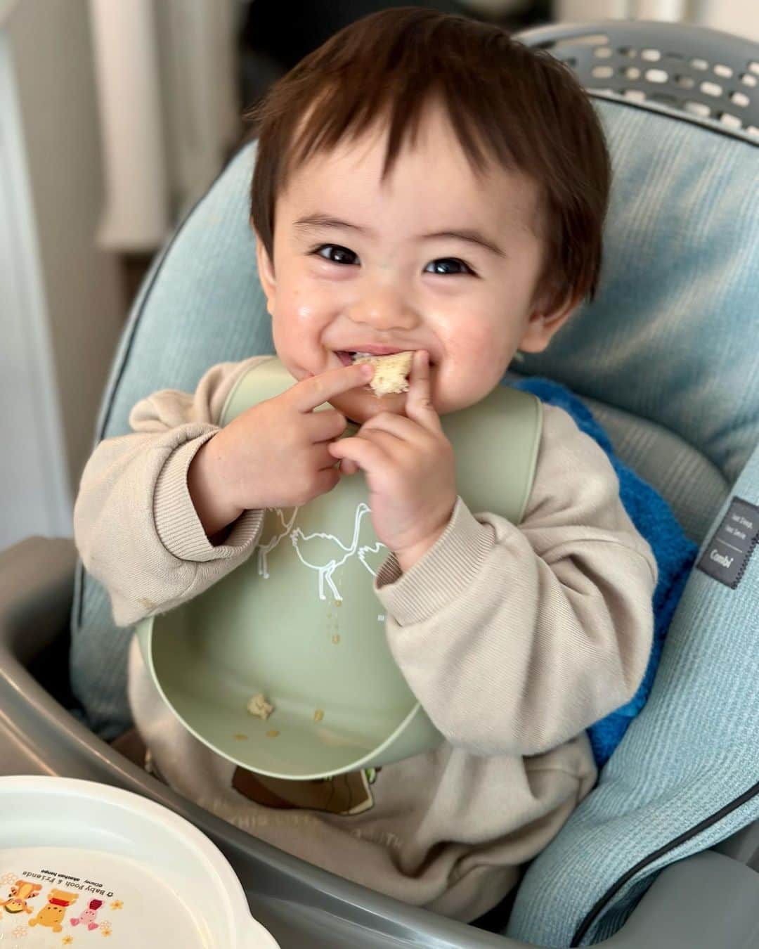 VANRIのインスタグラム：「☺︎< Breakfast time😋🍞❤️  あれ？なんかバグっててあげなおし😵‍💫w  最近のしょーぐんは 兎にも角にもよく食べる‼️w アレルギーも好き嫌いも今の所特になく こちらが中断しないと食べ続ける程に・・・w  こちらは今朝の朝食の様子🍽  料理教室で購入した１食分に必要な食物繊維が１枚で摂れる 全粒粉パン＆🥑＆えごまオイル←私  しょーぐんは米粉をベースにした グルテンフリーのパンとチーズとフルーツたち。 離乳食＆ミルクは完全卒業！ 大人と同じものを食べるようになり 外食も幾分楽になったように思います。  《離乳食など食べ物もっとあげてほしい！参考にしたい！》 とメッセージをいただくので できる範囲内でストーリーへアップできればと思っております❣️ (↑ハイライトにも残しておきますね！)  それでは今日も１日笑顔でファイティンです☺︎✨  #6枚目は干し芋争奪戦 #最後の写真は美味しいねの顔」