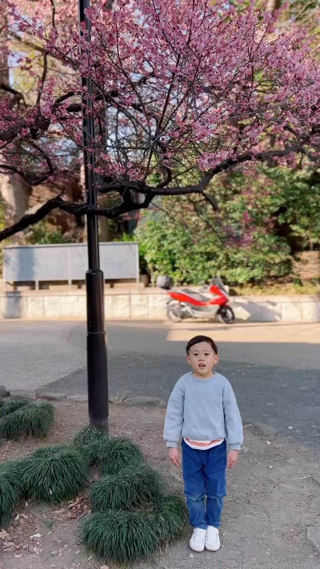 のインスタグラム：「ひな祭りおめでとうございます🎎 ・ ・ #5歳9ヶ月 #動画を撮ってと頼まれた父 #ピュア」