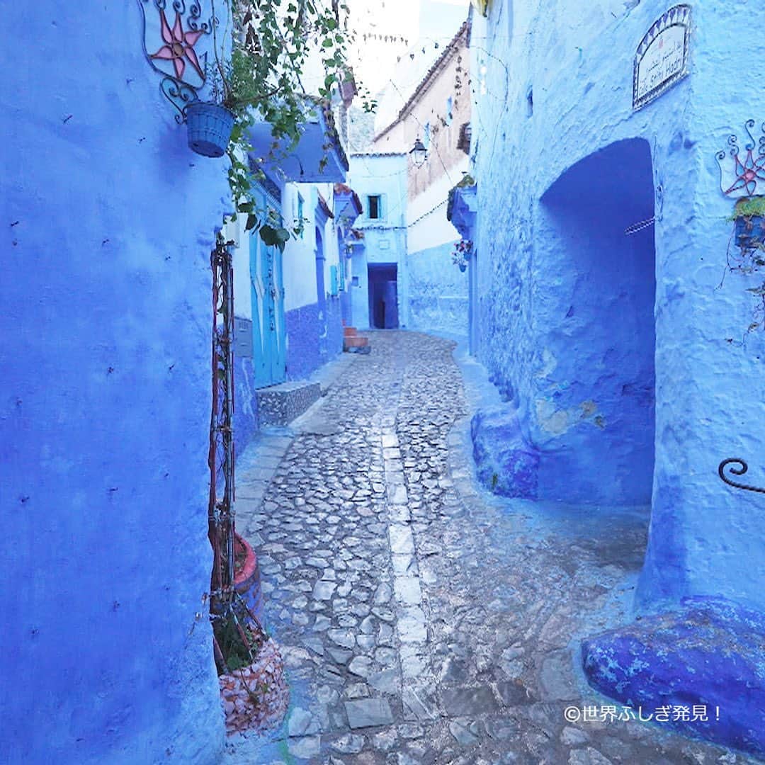 TBS「世界ふしぎ発見！」さんのインスタグラム写真 - (TBS「世界ふしぎ発見！」Instagram)「#モロッコ の青い街 #シェフシャウエン   建物や道路、階段も全てブルー！ 美しい街並みは、おとぎの国のよう  #ネコ にもたくさん出会いました🐈🐈‍⬛」3月3日 21時15分 - fushigi_hakkenad