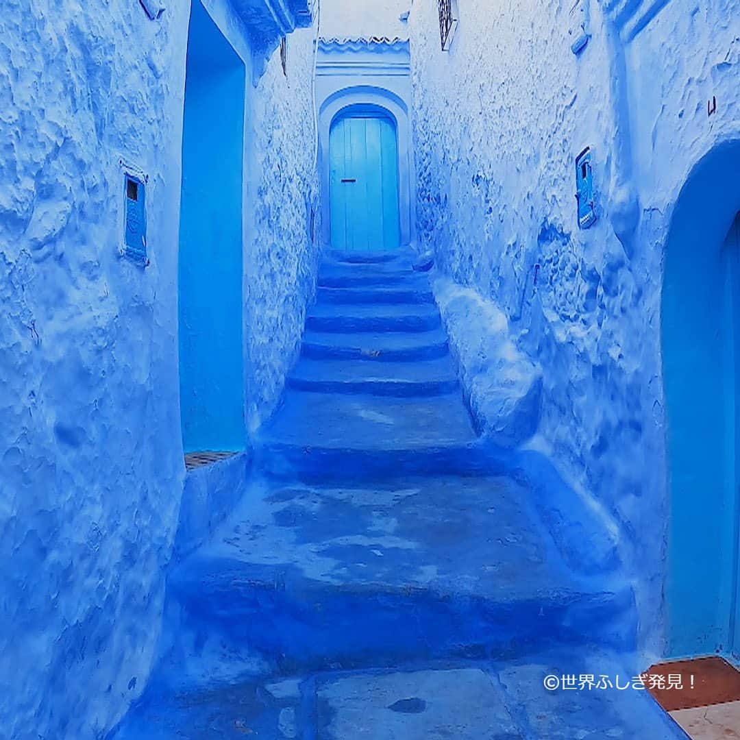 TBS「世界ふしぎ発見！」さんのインスタグラム写真 - (TBS「世界ふしぎ発見！」Instagram)「#モロッコ の青い街 #シェフシャウエン   建物や道路、階段も全てブルー！ 美しい街並みは、おとぎの国のよう  #ネコ にもたくさん出会いました🐈🐈‍⬛」3月3日 21時15分 - fushigi_hakkenad