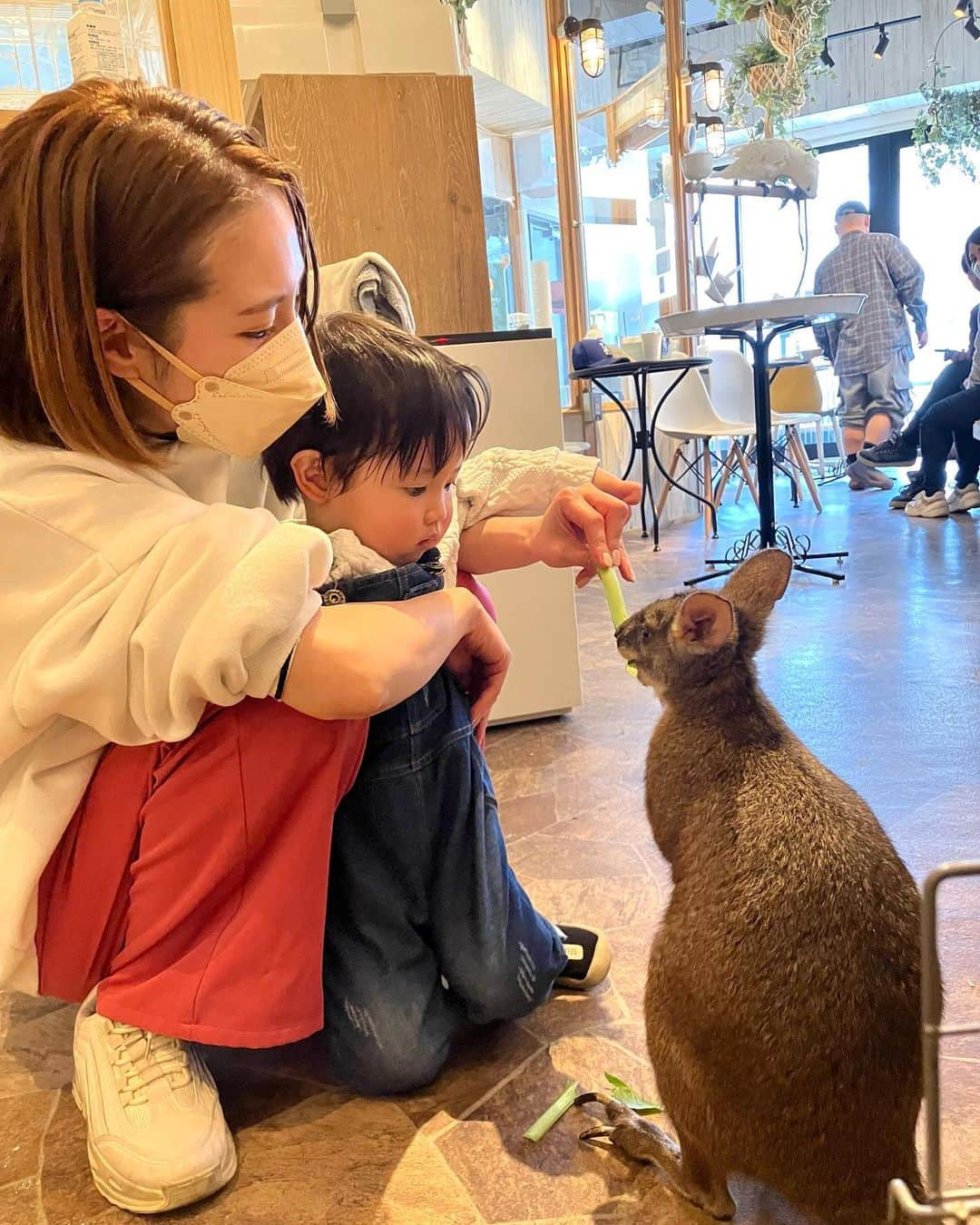 ハミ さんのインスタグラム写真 - (ハミ Instagram)「大好きな笑顔⌣̈⃝ ♡ 1番のご褒美です𓈒𓂂𓏸  今日は気になっていた @animalcafe_fuleca_official へ🐰  動物さん達と触れ合えてめっちゃ嬉しそうだった😚  ふわもこちゃん系が好きかな〜と思ってたら長男の最推しは意外にもフクロウさんでした🦉🥇  子連れのお出かけにもデートにもおすすめ◎  とっても癒されました𓂃‪𓃱𓈒𓏸  #1歳9ヶ月#男の子#おでかけ#カフェ#大阪カフェ#小動物#癒し」3月3日 21時09分 - hami0519