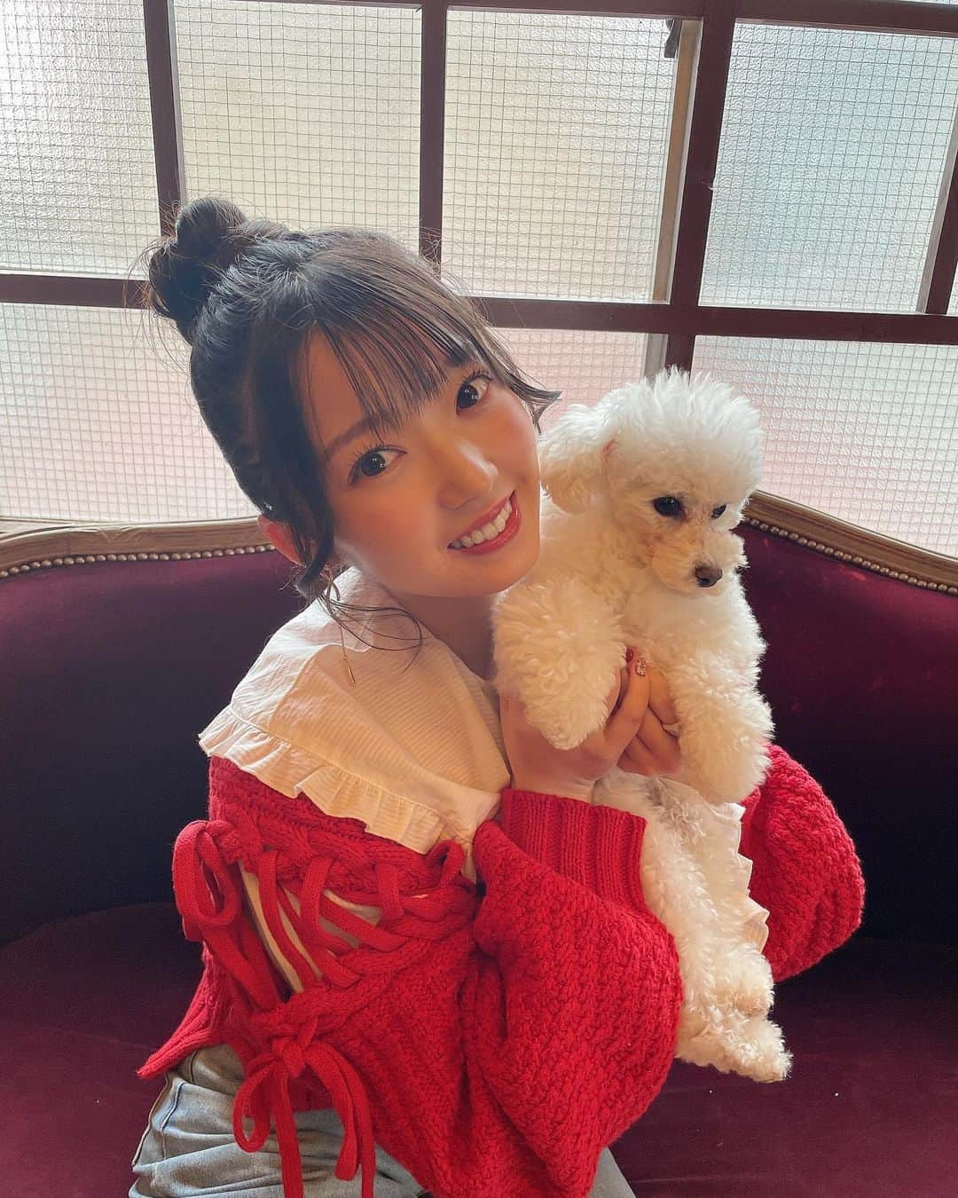 山岸理子さんのインスタグラム写真 - (山岸理子Instagram)「* 🐩⸒⸒🤎 ⁡ ⁡ PET POP SQUARE Vol.6 発売中☁️☁️☁️ 愛犬 サンディ と撮影したよ〜 ⁡ ⁡ #tsubaki_factory #山岸理子 #petpopsquare #ぜひみてね #嬉しすぎて何冊も買っちゃいました 😳」3月3日 21時09分 - riko_yamagishi.official