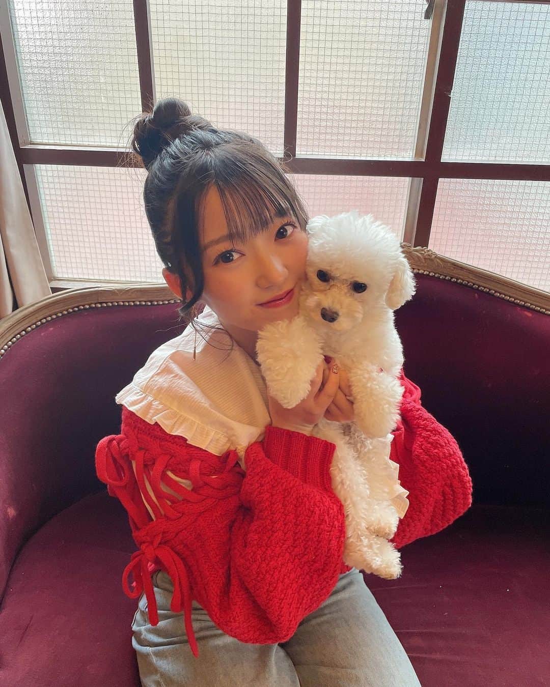 山岸理子のインスタグラム：「* 🐩⸒⸒🤎 ⁡ ⁡ PET POP SQUARE Vol.6 発売中☁️☁️☁️ 愛犬 サンディ と撮影したよ〜 ⁡ ⁡ #tsubaki_factory #山岸理子 #petpopsquare #ぜひみてね #嬉しすぎて何冊も買っちゃいました 😳」