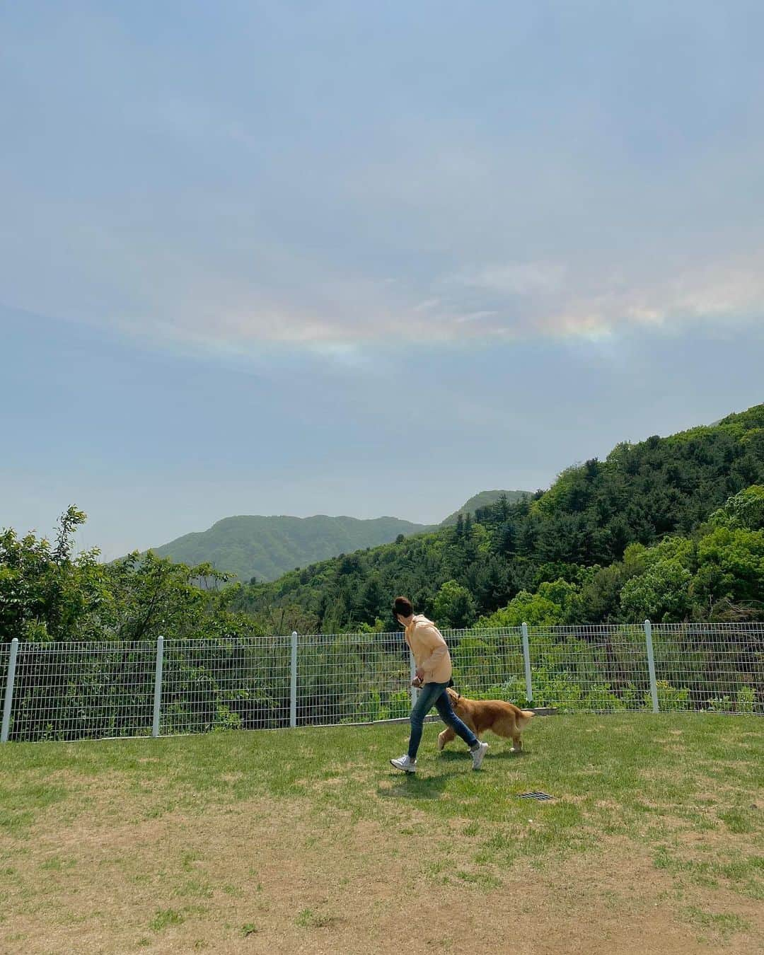 ユ・ヨンソクのインスタグラム：「사랑스런 우리 영화 주인공들 🐶❤️」