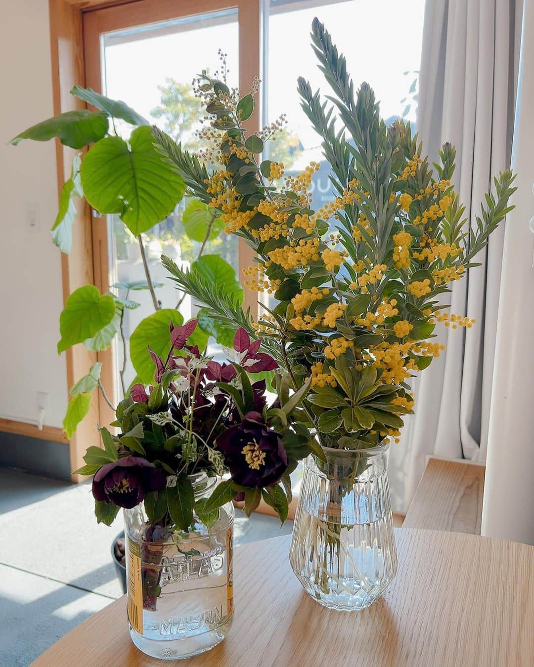 岡部亜紀のインスタグラム：「ひな祭り💛  今日は、ひな祭りだからね。 と、お客様がお庭のお花を 持ってきてくれました💚  植物は、いいですね。 ずっと眺めてられます😊  #春 #ひな祭り #花のプレゼント #嬉しい #ミモザ #クリスマスローズ #いい香り」