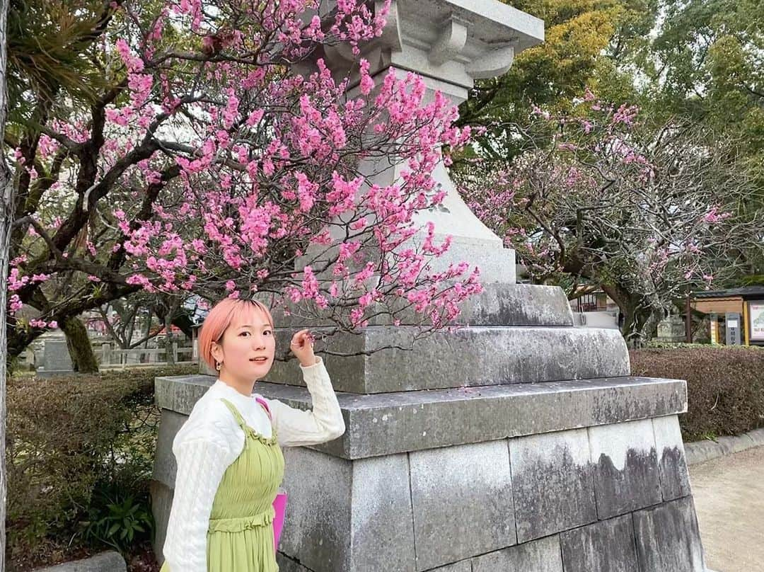 由利華のインスタグラム：「🌸桜🌸 ⁡ ⁡ じゃなくて、、実は梅🤍🤍 ⁡ もうすぐ春が来るね~🕊 みんなは新生活何か新しいことに挑戦しますか？？☺︎ ⁡ 私は、今年もまた新たに あんな事やこんな事に色々挑戦しようと考えていて⛰ 水面下で色々と準備中ですっ☺️ 解禁できるようになったら告知させて頂くので もう暫しお待ちを☺️✨ ⁡ ⁡ #SDGS #環境省アンバサダー #森里川海アンバサダー ⁡ ⁡ #code #fashion #ショートカット　#ライブ　#シンガー　#シンガーソングライター　#歌手 #歌い手　#ボブ　#ピンクヘア　#cover #歌ってみた」