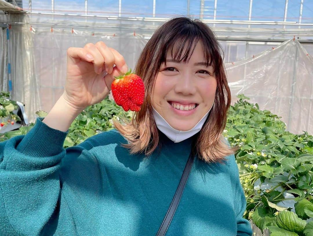 綾田紘子さんのインスタグラム写真 - (綾田紘子Instagram)「今日は念願のいちご狩り🍓に行って来ましたー🥺✨✨ . 亀田愛里ちゃんが付き合ってくれて、5種類のイチゴ🍓を思う存分パクパク😂 . お土産で購入もしたし、帰ってからもイチゴ食べます🤣♡ 楽しかったのでまた行きたい☺️ . #いちご狩り #亀田愛里 #推し活」3月3日 15時38分 - roco_0816