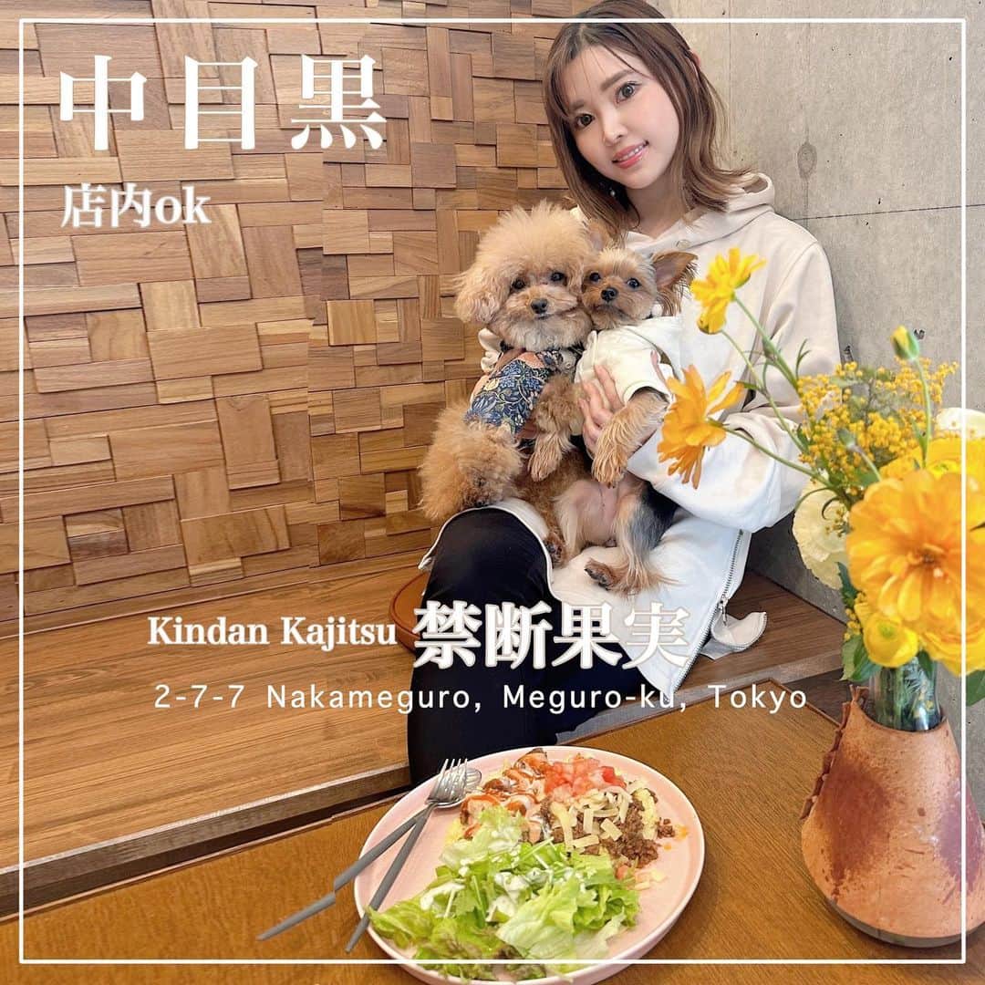 池田沙代のインスタグラム：「🤍🤍🤍  🍎🥪𝑲𝒊𝒏𝒅𝒂𝒏 𝑲𝒂𝒋𝒊𝒕𝒔𝒖 禁断果実🥪🍎 #中目黒 店内🐕‍🦺ok | #フルーツサンド 🍎 ホットサンド🥪チキンオーバーライスetc..  フルーツサンドで有名な 禁断果実が中目黒に帰ってきた🤍  店内わんこ🆗だよー🤍  お腹が空いてたから チキンオーバーライスとタコライスの ハーフ&ハーフ😊✌️ どっちか迷ってたからハーフ嬉しい🤣✌️  フルーツサンドはマンゴー🥭を お持ち帰り✨ホットサンドも また食べたいなぁ🤤🤍  中目黒の駅から少し離れてるけど バス停が近くにあるから (中目の駅からも乗れる✌️) 行きやすい人も多いのでは☺️✨  フルーツサンドはテイクアウトでも 人気だから売り切れる日も 多いみたい🤤🤍確認してから行くか、 取り置きシステムもあるみたいなので Instagramチェックしてみてね😊🌼  居心地よかった😊💡 朝8時からやってるから 朝活にもよいです😊朝、起きたいです☀️  _____  🍎禁断果実🍎 @kindankajitsu   ▫️ 東京都目黒区中目黒2-7-7 1F ▫️ 080-2349-8056 ▫️営業時間: 8:00～18:00 ▫️定休日：不定休 ▫️予約不可 ▫️店内🐕‍🦺ok ____  最新の営業時間などはお店のSNSなどで チェックしてから行ってみてください🤍  #ぴのさんカフェ#店内犬ok#犬と行けるカフェ#犬と行けるお店#ペット同伴可#犬同伴#犬同伴可#犬とカフェ#ワンコとカフェ#東京カフェ#犬okカフェ#テラス席ワンコok#テラス席わんこok#ペットokカフェ#犬とおでかけ#犬とお出掛け#テラス席わんこok #テラス席わんこｏｋカフェ#中目黒ランチ#中目黒カフェ」