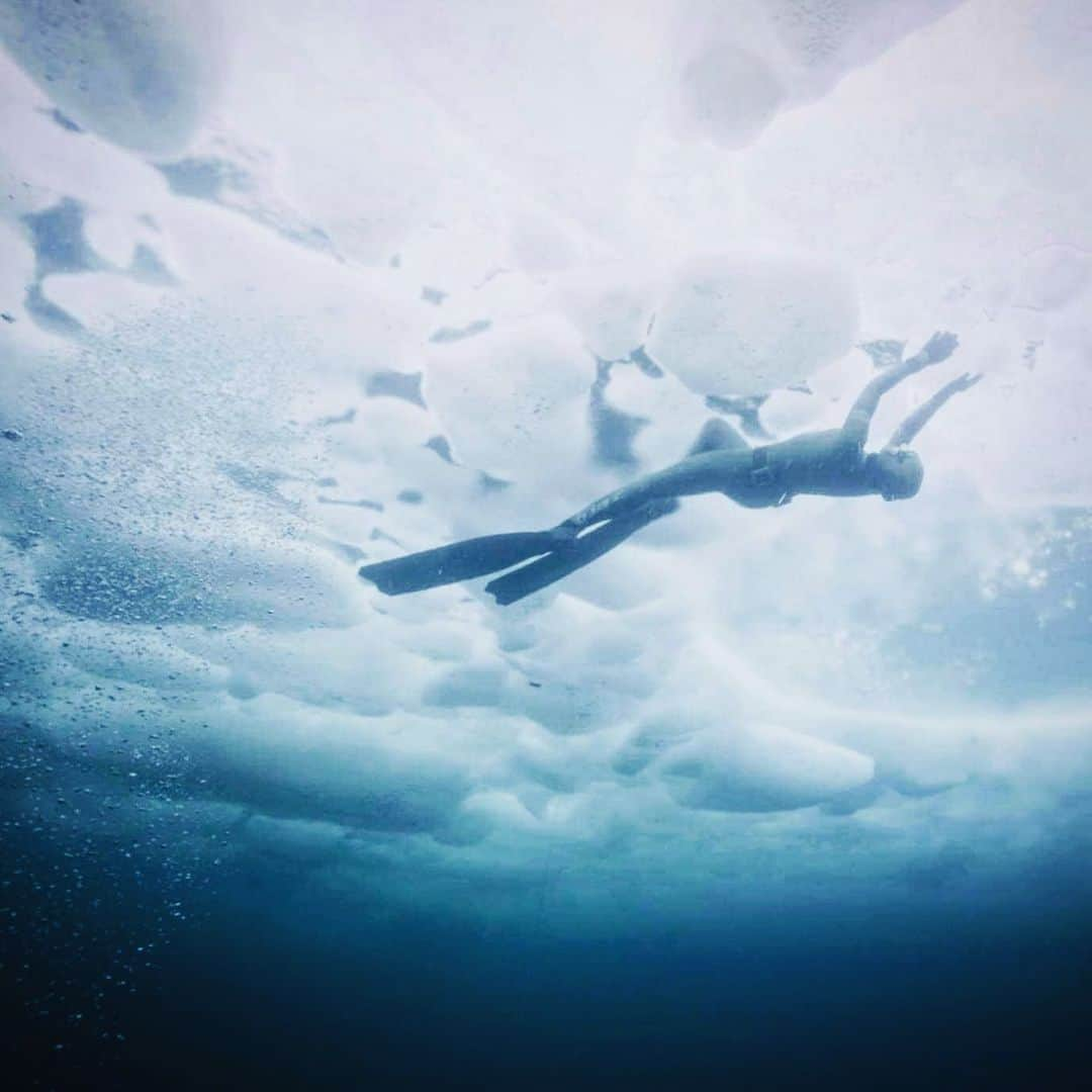 福田朋夏さんのインスタグラム写真 - (福田朋夏Instagram)「under the drift ice❄️❄️❄️ 流氷を初めて体験しました。しかも流氷を下から見られるなんて、なかなか出来ない体験。重なり合う流氷に光が当たって本当に綺麗でした…😌❄️🤍 @icefreediving_shiretoko  #freediving #apnea #icediving #icefreediving #hokkaido #shiretoko #知床　#流氷  @zero_wetsuits @yamamotowetsuits @delma_japan @delmawatches」3月3日 17時22分 - tomoka_fukuda