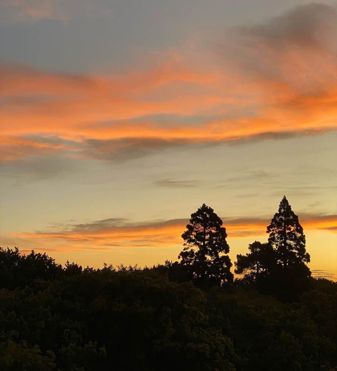 時任三郎のインスタグラム：「そしてシメは夕景 #クライストチャーチ #ニュージーランド」