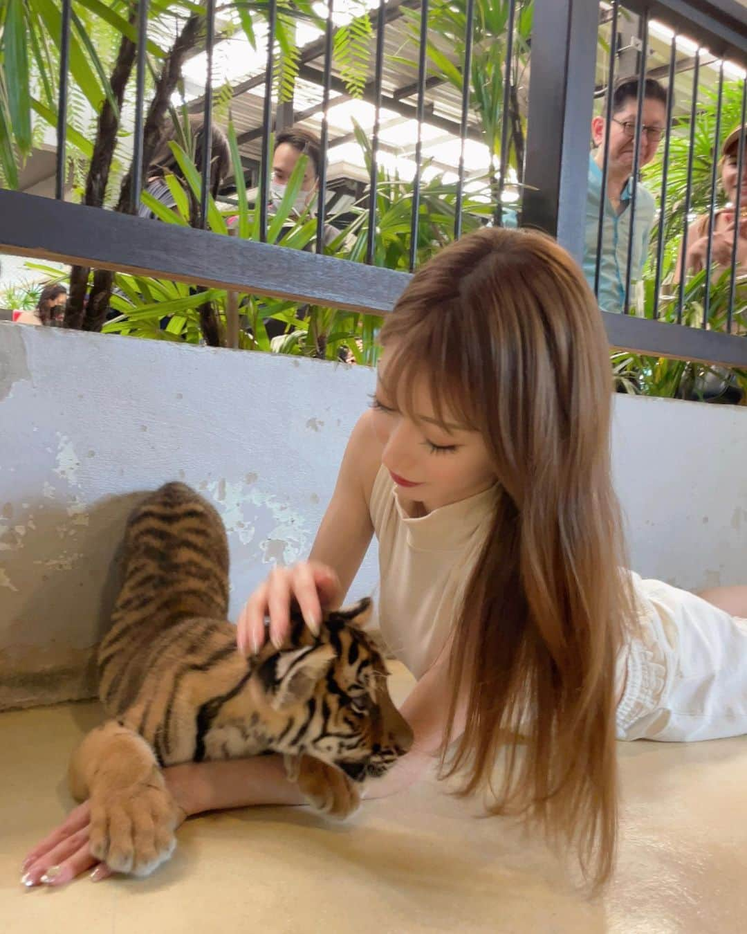 松山英礼奈のインスタグラム：「逃げっぶれっ🐅  7枚目は寝ちゃった虎ちゃん💛💤  子虎可愛すぎたぁ🥹🐯🍼💖💖💖  #tigerpark  #pattaya  #thailand  #🇹🇭 #🐯 #可愛すぎ」