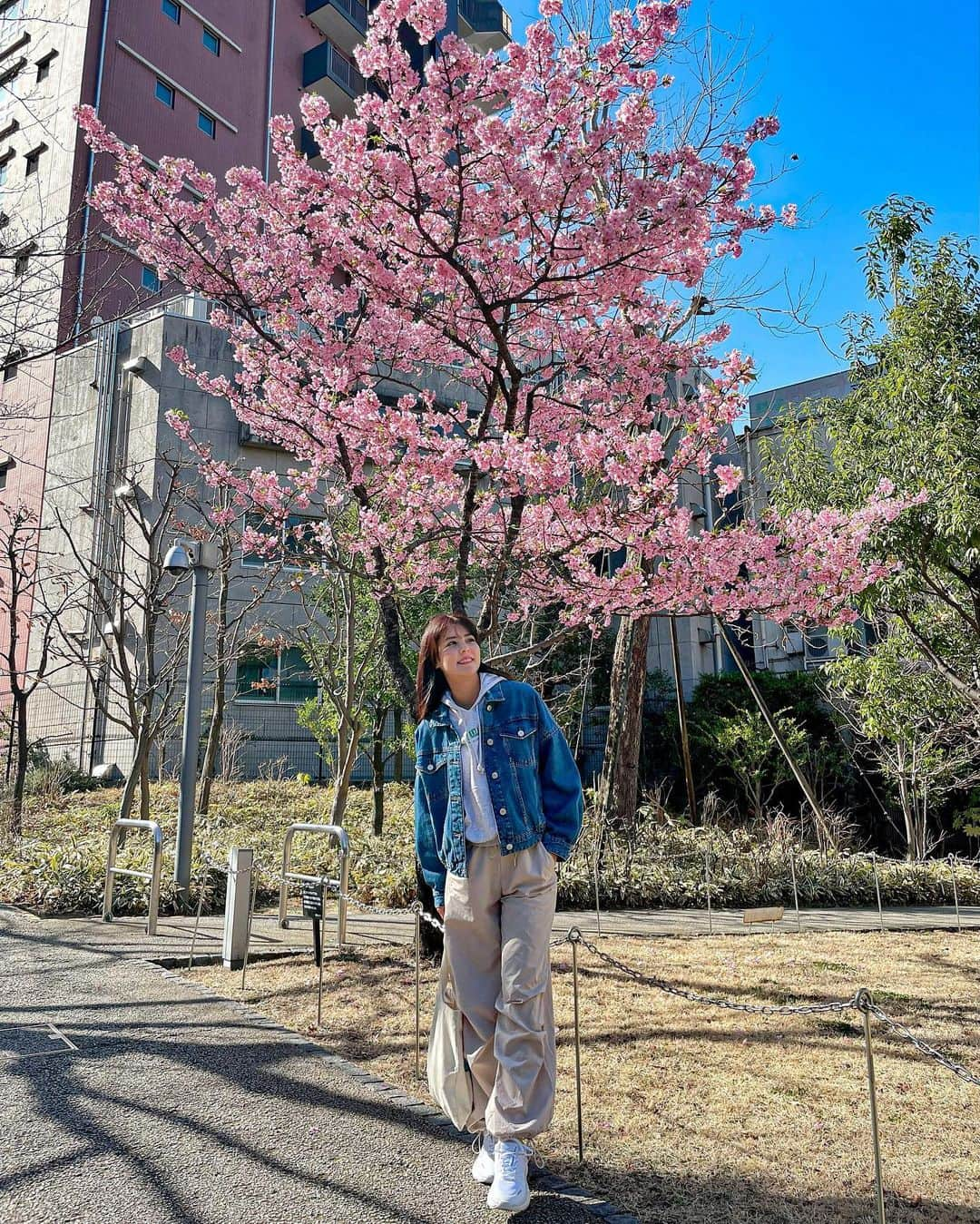 藤井美菜のインスタグラム：「. 河津桜が咲き始めましたね。春るんるん🌸 카와즈 벚꽃이 피기 시작했어요. 봄봄신나🌸 The cherry blossoms are starting to bloom. Spring is comming🌸  #東京#桜#春#東京旅行#春コーデ#美菜私服 #도쿄#벚꽃#봄#도쿄여행#패션#봄코디#운동화 #tokyo#cherryblossom#spring#fashion#sneakers」