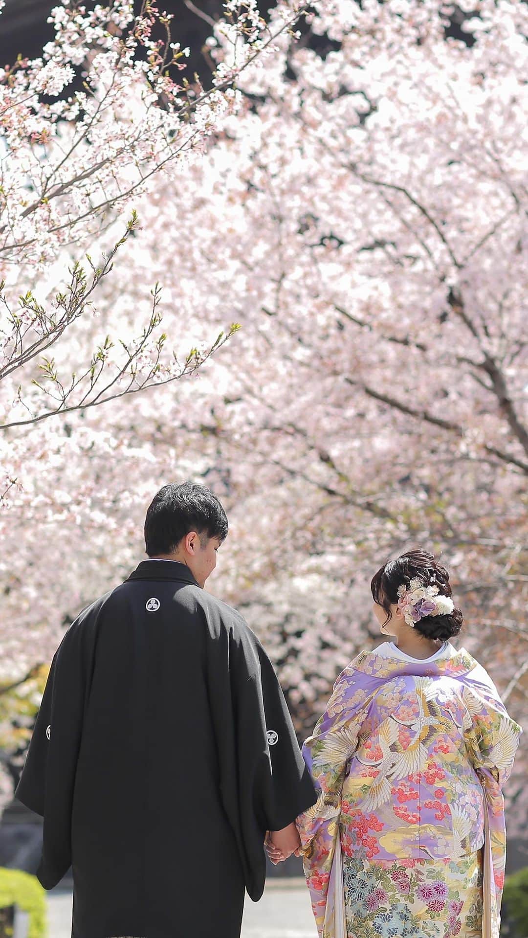 ホテルモントレエーデルホフ札幌ブライダルのインスタグラム：「🌸桜ロケーションフォト 撮影予約スタートします♪ 北海道の短い桜のシーズンに晴れ姿の思い出を残しませんか📸  まだまだ寒いですが、桜フォトで撮影できるのは、 4月後半〜5月中旬の限られたこの時期だけ！ (桜開花のタイミングに伴い撮影時期は変動致します)  一年にほんのわずかな桜の時期。 中島公園は札幌でも人気の桜スポット しだれ桜やソメイヨシノ、エゾヤマ桜など 沢山の種類の桜が🌸  撮影時期が短かく人気の桜フォトプランの為 お枠に限りがあります。ご予約はお早めに！ ※桜の時期の土日はお花見の人たちも多いので 　平日の撮影が断然おすすめです。  【プラン内容】 ◆衣装　新郎１点・新婦１点(美容着付込) ◆中島公園での撮影料 ◆ホテル　⇔  中島公園間の往復移動費 ◆写真データ　40カット  洋装プラン　185,000円(税込203,500円) 和装プラン　216,000円(税込237,600円)  #フォトウェディング#結婚式前撮り#2023wedding#桜前撮り#桜フォト#春ウェディング#前撮り札幌#ブライダルフォト#フォト婚#中島公園の桜#中島公園#桜 #桜ウェディング #モントレウェディング #モントレ花嫁 #結婚式  #美しい写真 #素敵な写真  #花嫁会 #ナチュラルウェディング #フォトジェニック #理想の結婚式  #インスタ映え #marry花嫁 #marryxoxo #hotelmonterey #wedding  #photography #weddingphotography」