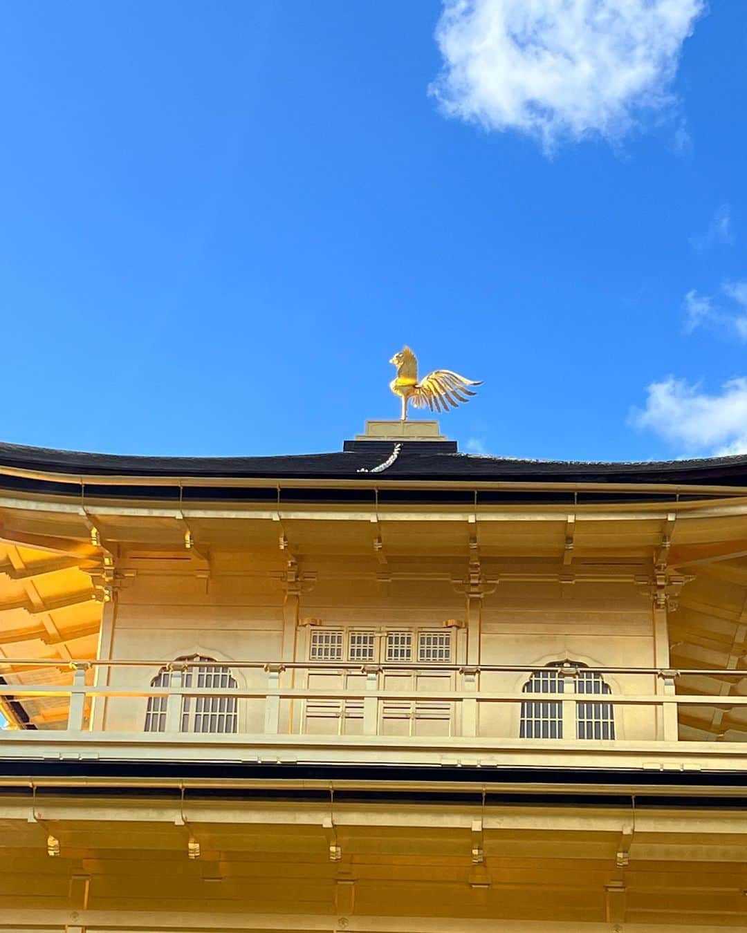 坂口和也さんのインスタグラム写真 - (坂口和也Instagram)「金閣寺✨ 中学生ぶりの金閣寺を見て、当時興味も何もなかった自分が、綺麗な景色に感動しながらカメラを向けていました📸 パワーが凄かったです☺️ またいきたい‼️ #京都 #金閣寺 #旅 #☀️」3月3日 19時59分 - kazunari_sakaguchi