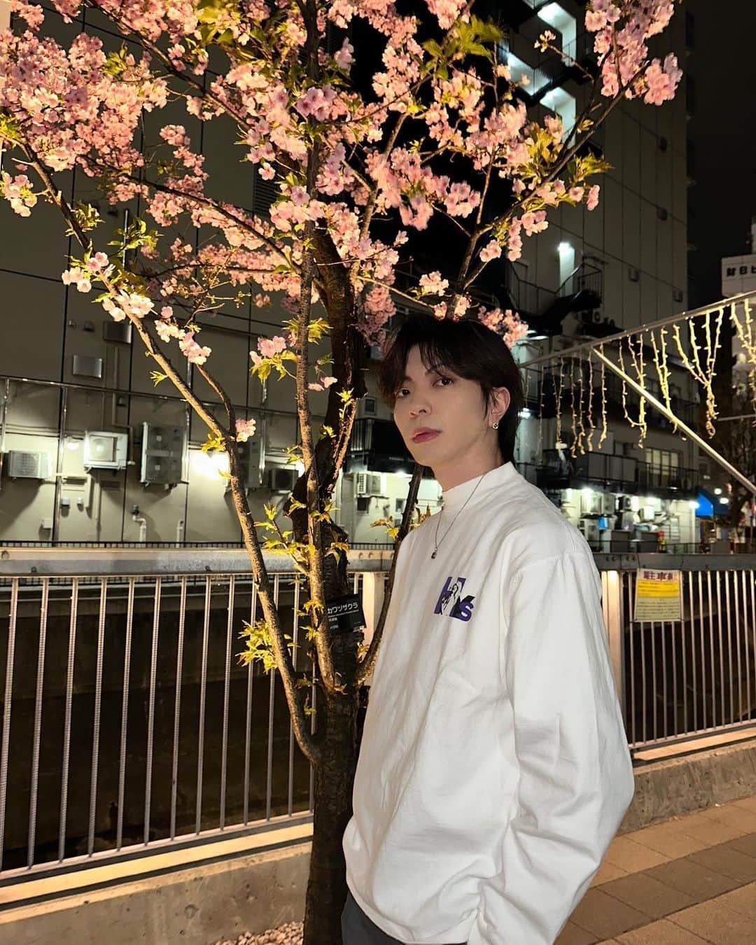 丸山龍星さんのインスタグラム写真 - (丸山龍星Instagram)「夜桜良🌸  #hystericglamour」3月3日 20時00分 - ryusei_maruyama