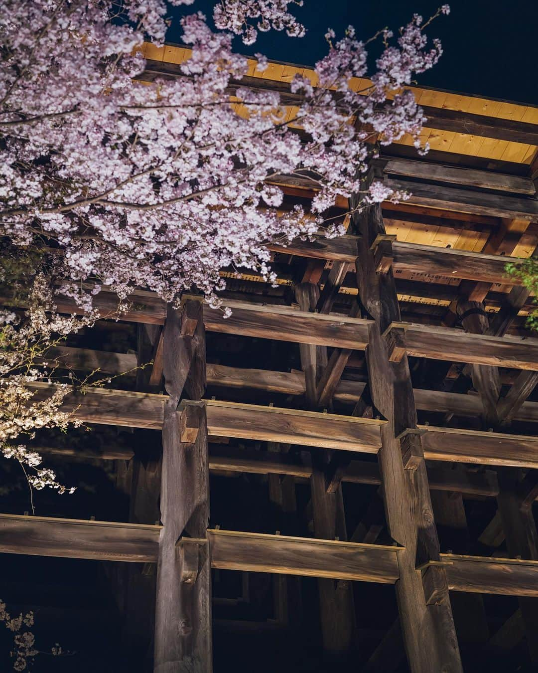 清水寺のインスタグラム：「Special night viewing | 清水寺 春の夜間特別拝観  Spring: Open until 9:30 p.m. (9:00 p.m. last entry), March.25 – April.2  実施期間：3月25日（土）～4月2日（日） 拝観時間：午後6時～午後9時 受付終了＊予約の必要はございません。 拝観料：大人400円／小・中学生200円  夜桜と光に彩られた清水寺。美しい景色が皆様のお心の癒しとなれば幸いです。   協力：清水寺門前会　茶わん坂繁栄会　清水寺御用達会」