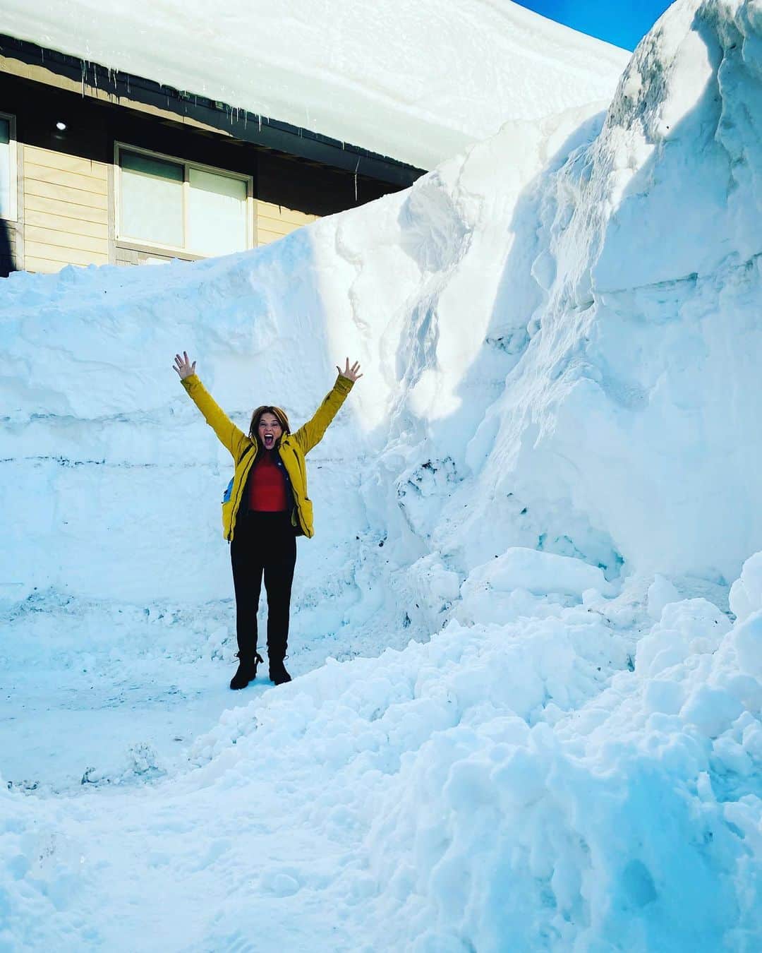 ケイティー・ルクレールのインスタグラム：「a lil bit of snow @mammothfilmfestival」