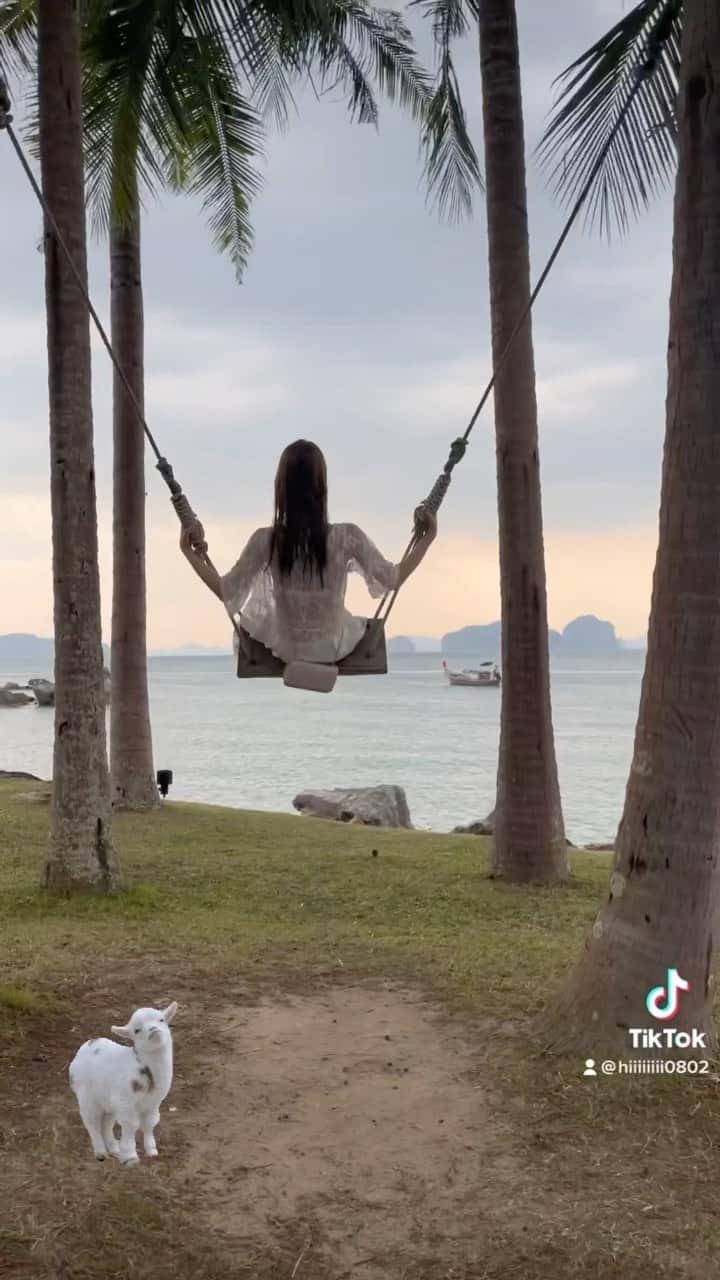 のインスタグラム：「・ ・ 気分はハイジ🧒🏻❤️🌳⛰🐐🥪🪔  ※音ありで見てね🤝🏻💛笑  #thailand  #ピピ島 #kophiphi」