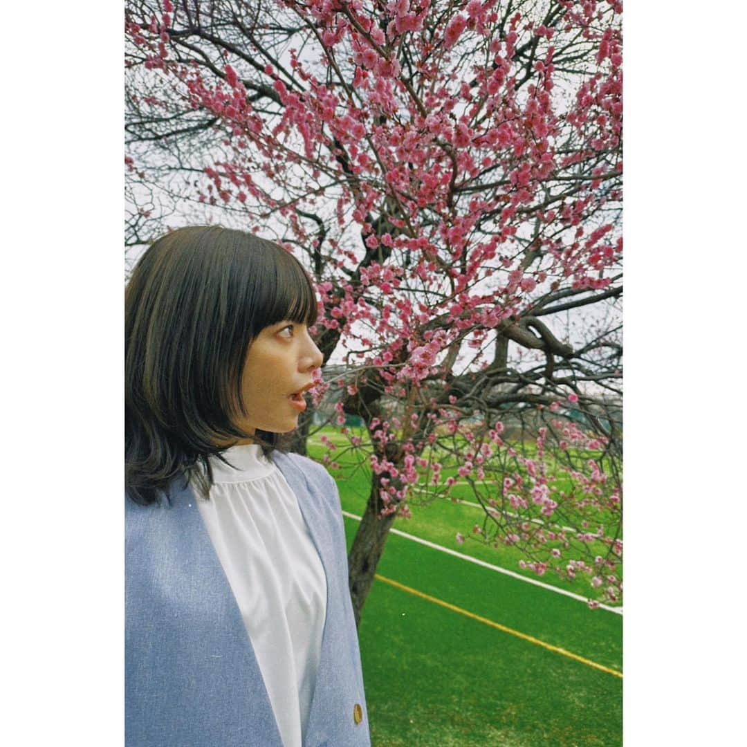 桜井ユキさんのインスタグラム写真 - (桜井ユキInstagram)「皆様こんばんは。  いやあ、飛んでますね、粉が  散々苦しむ方達を横目に「いやあ、わたしは大丈夫ですね」ドヤ顔でそう言い続けたのも束の間  二日前に爆発しました  そしてそして  ４月スタートのフジテレビ系ドラマ「ホスト相続しちゃいました」（火曜・夜１１時）に出演させていただく事になりました。  日々楽しく撮影しております。  雨にも風にも花の粉にも負けず皆様に楽しんでもらえるドラマになりますよう皆んなで頑張ります  是非観てください  むっちゃ鼻声だったら笑ってください  　　　　　　　　　　　　　　　　　　　　桜井」3月3日 22時30分 - yuki.sakurai_official