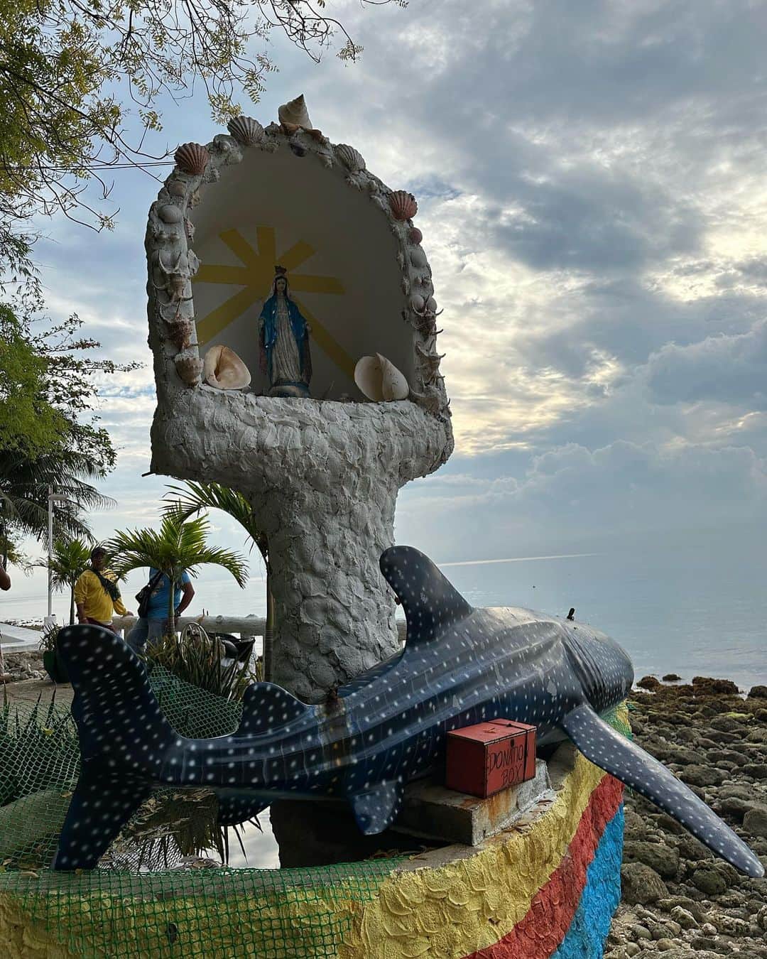 橋本真依さんのインスタグラム写真 - (橋本真依Instagram)「・ 🦈🦈🦈🦈🦈 ⁡ セブ島日記🤍day2 ツアーに参加して 『ジンベイザメ&カワサン滝ツアー』へ。 ⁡ 今回はCSPトラベルさんを利用しました✨　@csp_cebu @csp.jp  前日まで連絡がなかなか来なくて内心ヒヤヒヤ。 LINEを登録して前日の夕方になんとか行けることが決まって、ホッ😳としたのを覚えています💦 ⁡ 少しお金を多く支払えばプライベートツアーに。 専用のガイドさんと運転手さんと 専用車に乗って行けるので自分たちのペースで✨ そして車の冷房とかも気になってたので プライベートにして本当に良かったです❣️ ⁡ 値段は7100ペソ(=約17000円) ＋料金払ってランチ付きにしてみたんだけど ちょっと苦手な感じがしたので結局食べることなく 帰りました✨🥹🥹 ⁡ 昨日のストーリーにも載せて大反響があった ジンベイザメと泳げる体験を、、、 バチェラーデートではくぼっちと美ら海水族館で 見たジンベイザメ🦈が真横にウヨウヨ。 何匹も何匹も来てくれるので大興奮！ ただフィンを持っていけばよかった〜と後悔。 さすがに素泳ぎだと追いつけない。。。🤣笑 ⁡ 朝3時にホテルピックアップで そこから車で4時間🚗(#oslob まで遠い💦) 📍 Oslob Whale Shark Watching  (F97H+9W, Natalio Bacalso Avenue, Oslob, 6023 Cebu, フィリピン) ⁡ 朝早く頑張ってよかった〜🤍 世界各国から朝集合するので現地は長蛇の列です！ ⁡ ジンベイザメと泳ぐ機会なんて滅多にない事なので 体験できて本当によかった❣️ ⁡ 一回、後ろ見たら口を大きく開けた ジンベイザメが接近してきてビックリしすぎた けれど、、、、それもいい体験でした😚🌺 ⁡ ⁡ ⁡ #セブ島 #ジンベイザメ #女子旅 #オスロブ ⁡ ⁡ ⁡ ⁡」3月3日 23時03分 - hashimotomai430