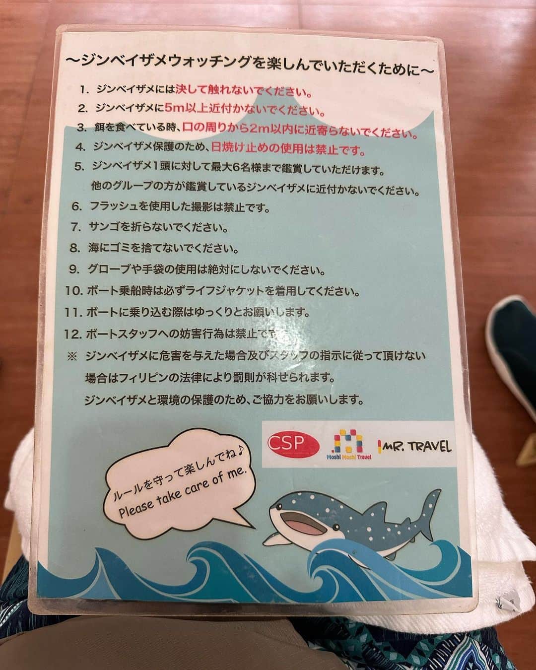 橋本真依さんのインスタグラム写真 - (橋本真依Instagram)「・ 🦈🦈🦈🦈🦈 ⁡ セブ島日記🤍day2 ツアーに参加して 『ジンベイザメ&カワサン滝ツアー』へ。 ⁡ 今回はCSPトラベルさんを利用しました✨　@csp_cebu @csp.jp  前日まで連絡がなかなか来なくて内心ヒヤヒヤ。 LINEを登録して前日の夕方になんとか行けることが決まって、ホッ😳としたのを覚えています💦 ⁡ 少しお金を多く支払えばプライベートツアーに。 専用のガイドさんと運転手さんと 専用車に乗って行けるので自分たちのペースで✨ そして車の冷房とかも気になってたので プライベートにして本当に良かったです❣️ ⁡ 値段は7100ペソ(=約17000円) ＋料金払ってランチ付きにしてみたんだけど ちょっと苦手な感じがしたので結局食べることなく 帰りました✨🥹🥹 ⁡ 昨日のストーリーにも載せて大反響があった ジンベイザメと泳げる体験を、、、 バチェラーデートではくぼっちと美ら海水族館で 見たジンベイザメ🦈が真横にウヨウヨ。 何匹も何匹も来てくれるので大興奮！ ただフィンを持っていけばよかった〜と後悔。 さすがに素泳ぎだと追いつけない。。。🤣笑 ⁡ 朝3時にホテルピックアップで そこから車で4時間🚗(#oslob まで遠い💦) 📍 Oslob Whale Shark Watching  (F97H+9W, Natalio Bacalso Avenue, Oslob, 6023 Cebu, フィリピン) ⁡ 朝早く頑張ってよかった〜🤍 世界各国から朝集合するので現地は長蛇の列です！ ⁡ ジンベイザメと泳ぐ機会なんて滅多にない事なので 体験できて本当によかった❣️ ⁡ 一回、後ろ見たら口を大きく開けた ジンベイザメが接近してきてビックリしすぎた けれど、、、、それもいい体験でした😚🌺 ⁡ ⁡ ⁡ #セブ島 #ジンベイザメ #女子旅 #オスロブ ⁡ ⁡ ⁡ ⁡」3月3日 23時03分 - hashimotomai430