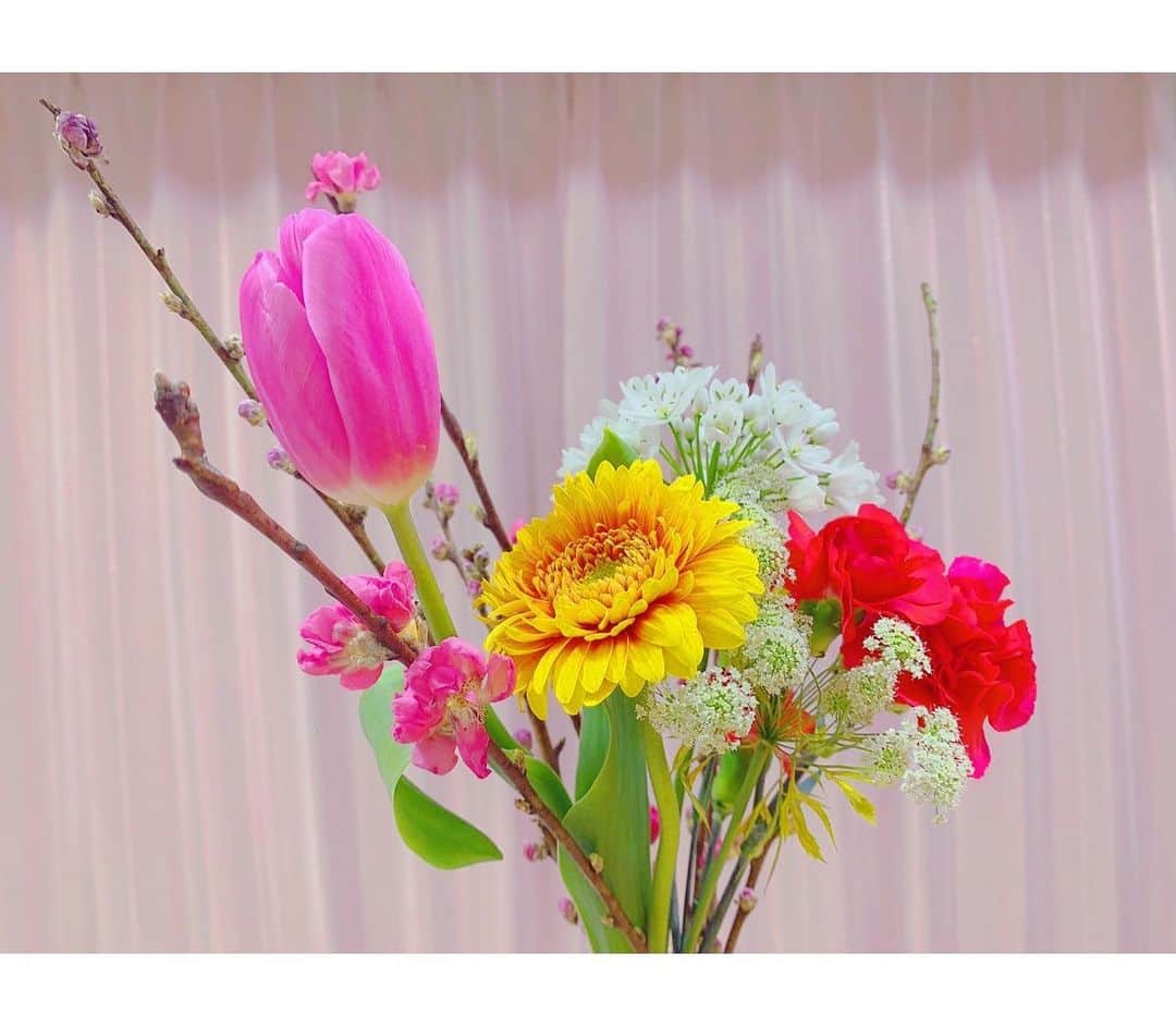 矢内井玲奈のインスタグラム：「ひな祭り🎎 お雛様は実家でお留守番しているので、今年はお花とケーキでお祝いしました🌷  大好きな映画『プリティ・ウーマン』観ながらちらし寿司食べて、今日は最高にハッピー🥰  #ひな祭り #お花のある暮らし」