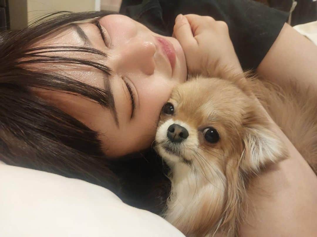 永瀬永茉のインスタグラム：「迷惑そうで可愛い🐩⸒⸒  、 、 、 、 、  #犬のいる生活  #家族になってくれてありがとう」