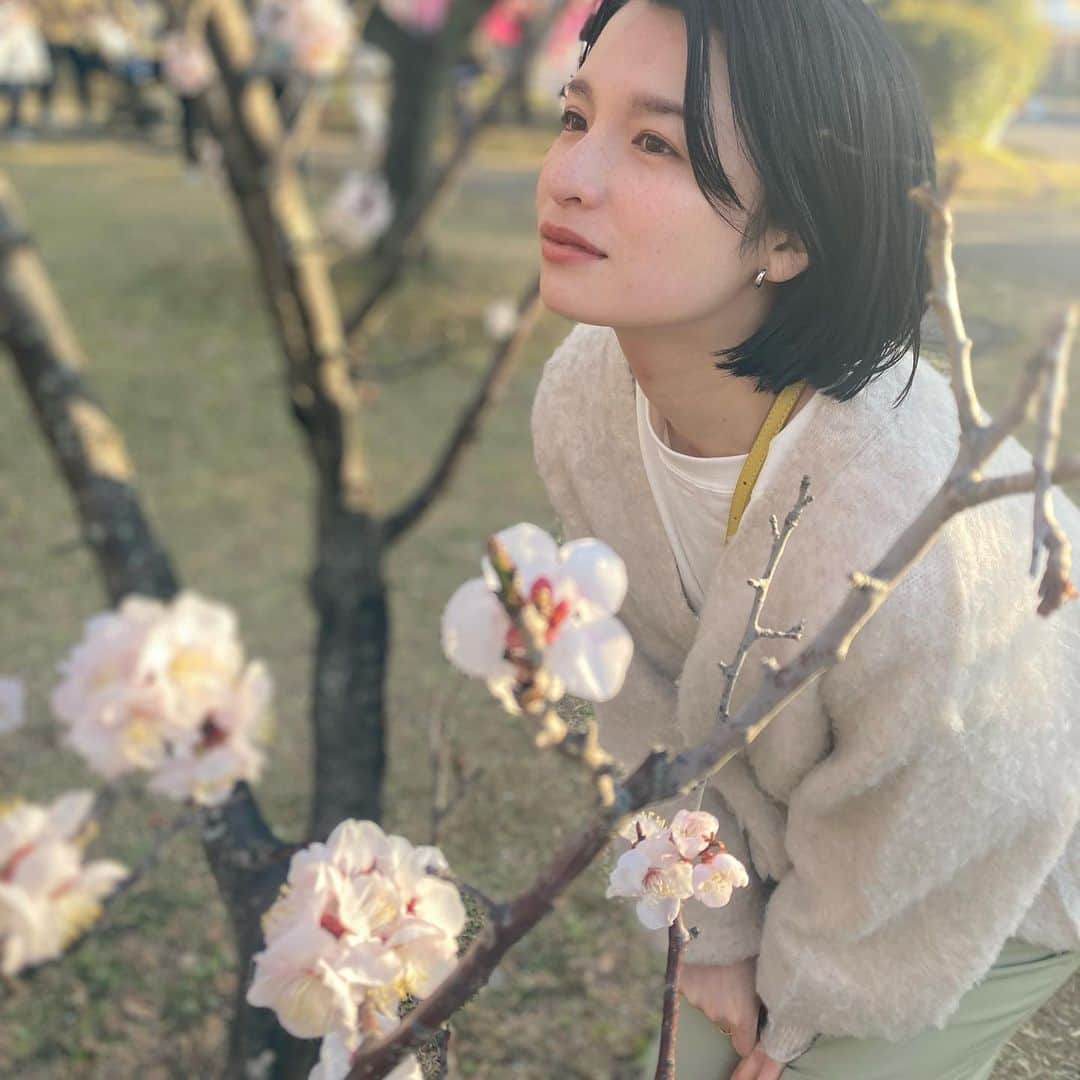 皆本麻帆のインスタグラム：「ふぅっふっふっふー  春ーだっわーーー  美味しい甘酒いただきました♡ ふふふっふ  道明寺だいすっき！ ふふふっふ」
