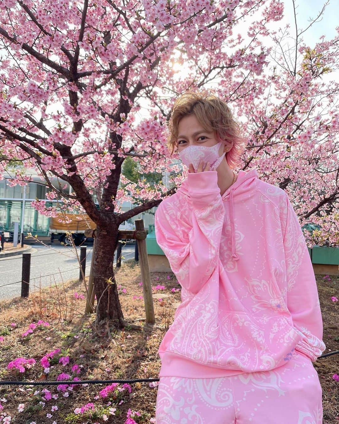 のインスタグラム：「春の木を開くと書いて'春木開'🌸 俺の季節がやってきた🌼  桜とリンクコーデ💕🧠🎀  #桜 #春木開 #世界一ピンクが似合う男」