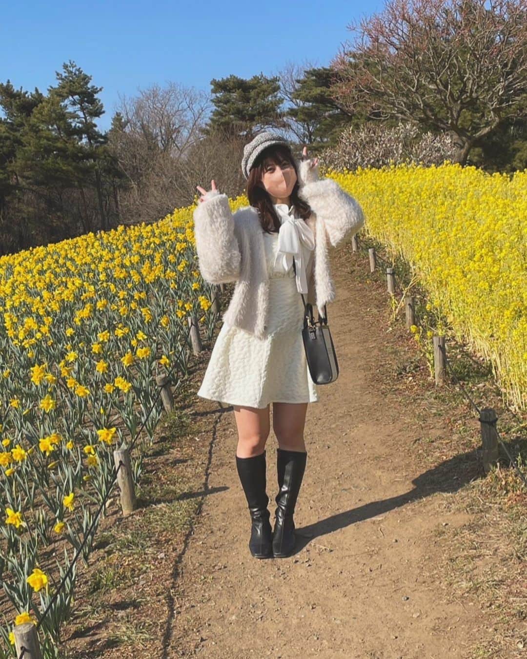 羽島みきのインスタグラム：「黄色のお花に囲まれて 幸せな気持ちになりました🐱💛」