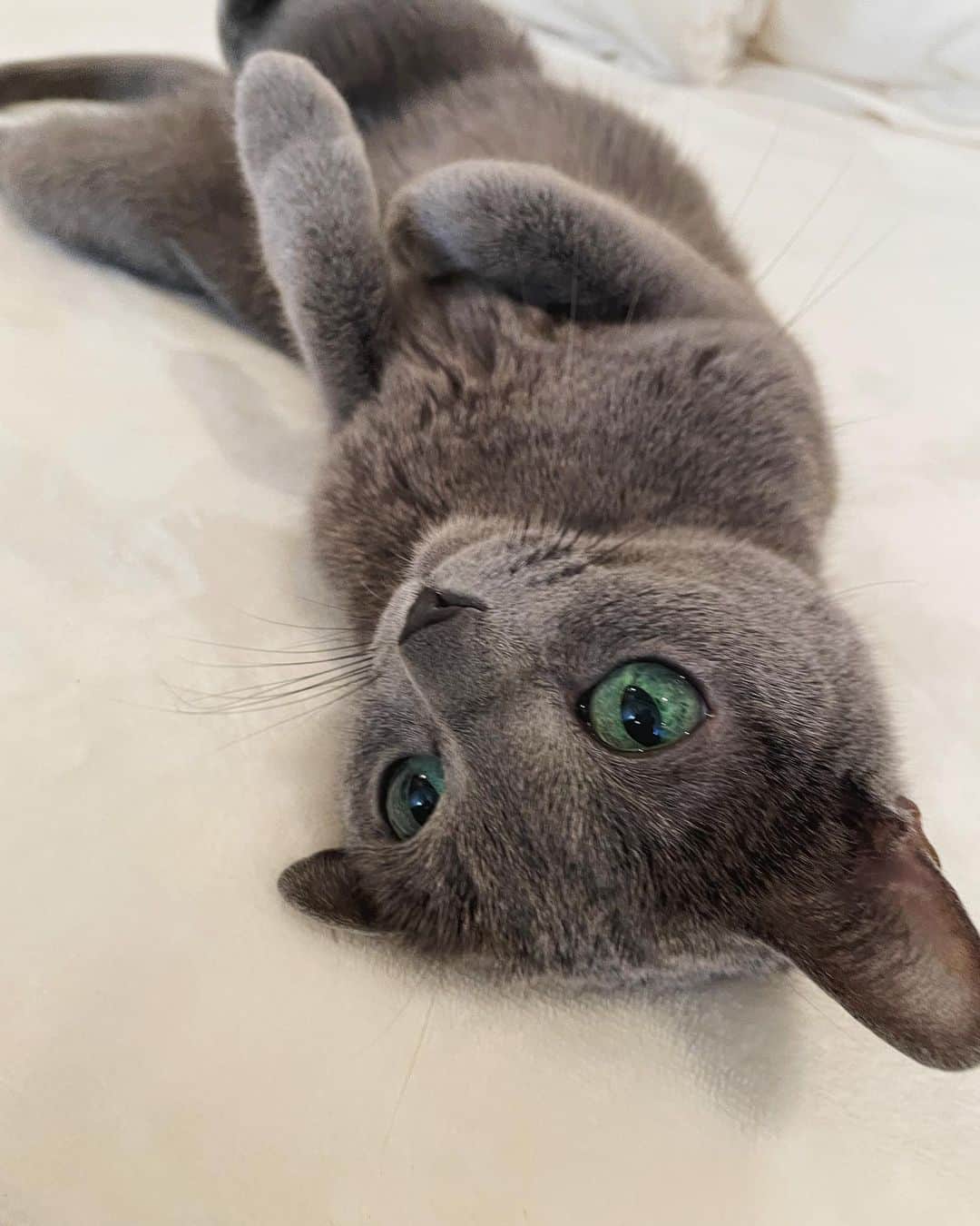 のインスタグラム：「やまめ♡」