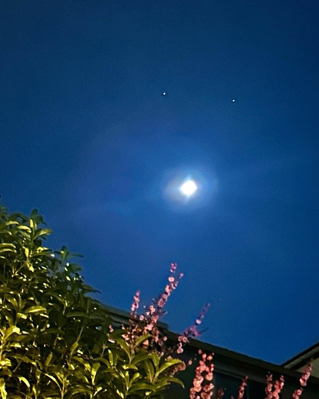 土屋眞弓のインスタグラム：「一昨日の月と昨日の月 AM1:00頃  一昨日はもの凄い強風で、空には雲ひとつ無く夜中なのに真っ青 そして驚くほど光輝く美しい弓張月🌔✨✨と月の上にふたつの星⭐️✨✨ 昨夜は雲の切れ間から怪しく光を放つ月と不思議な雲 と静かな空🌔✨✨✨  日々の慌しさが嘘のような静寂の夜 月に向かっておやすみなさい🌙🙏💤💤 一日の締めくくりに☺️  #moonlight  #いま空 #夜空」