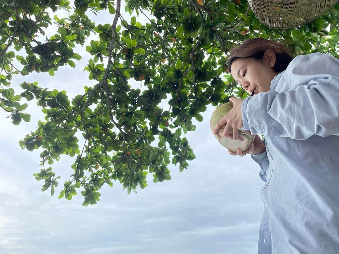イ・ソルさんのインスタグラム写真 - (イ・ソルInstagram)「코코넛 쌓아두고 먹고싶다!!🥥🥥🥥🥥🥥🥥🥥🥥🥥🥥🥥🥥🥥」3月4日 11時16分 - difsul