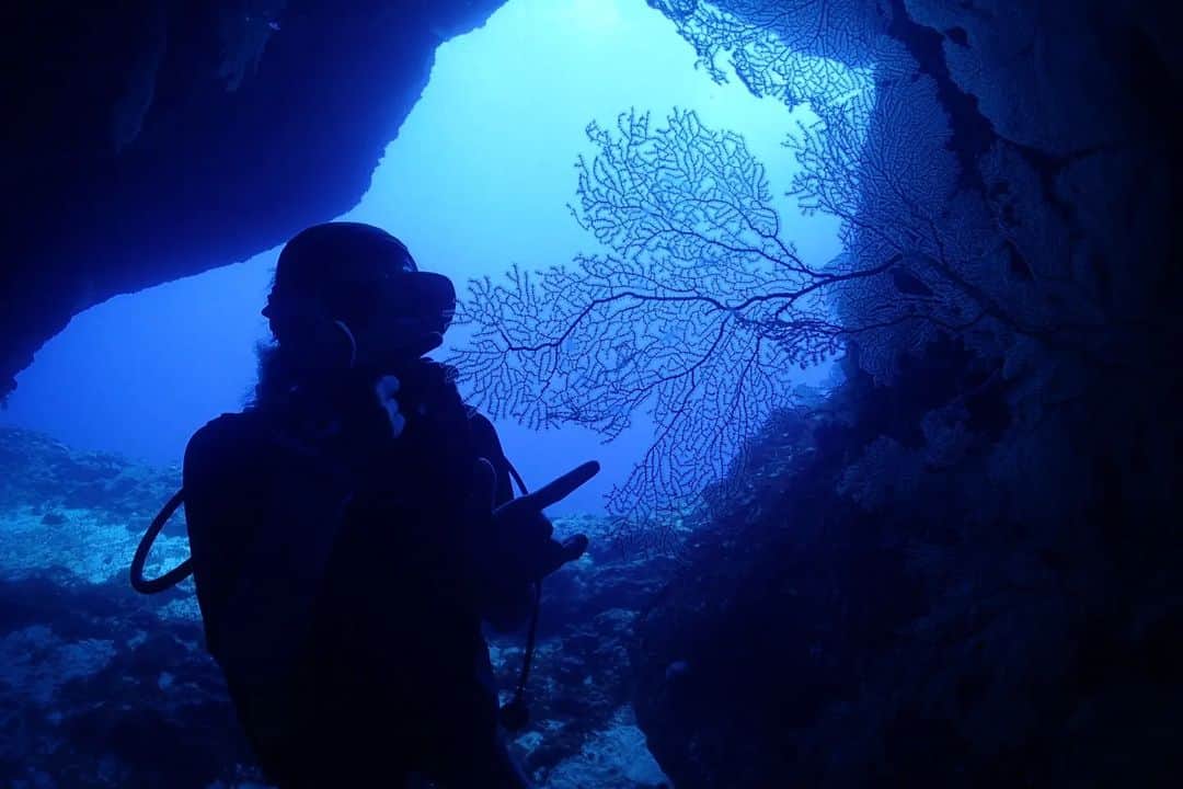 エリナさんのインスタグラム写真 - (エリナInstagram)「GROTTO in SAIPAN💙 평생 잊지 못할 만큼 아름다운 바닷속 一生忘れられない素敵な海でした✨」3月4日 12時32分 - erina_hrn