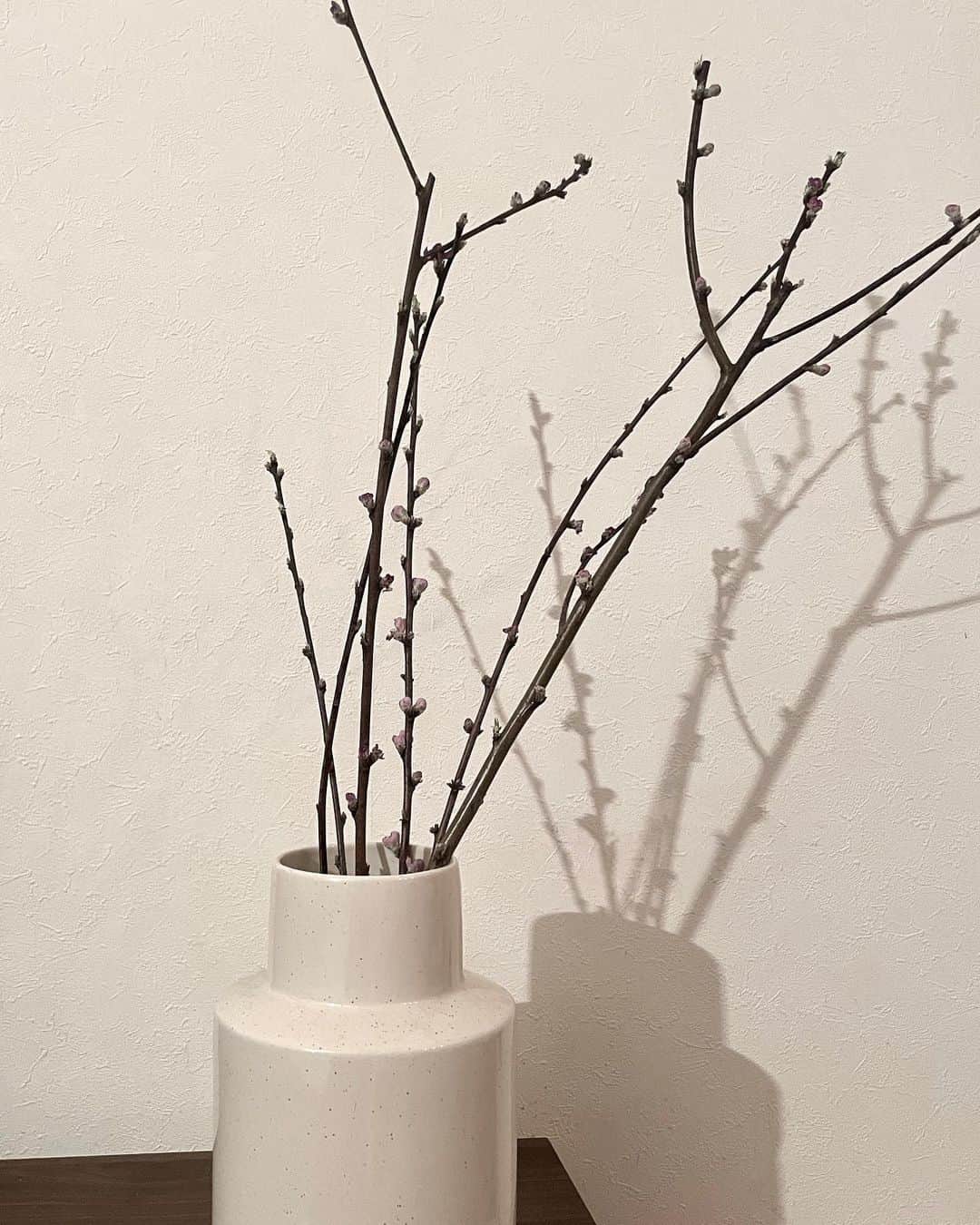 森摩耶のインスタグラム：「桃の花というよりは、枝。 #桃の節句 🎎🌸  ケーキを食べて胃もたれした私と、もともとお刺身があまり好きではない長女に、大好物のまぐろとサーモンを恵んでもらった次女。 今日は、最高の日だぁ！！だそうです☺️」
