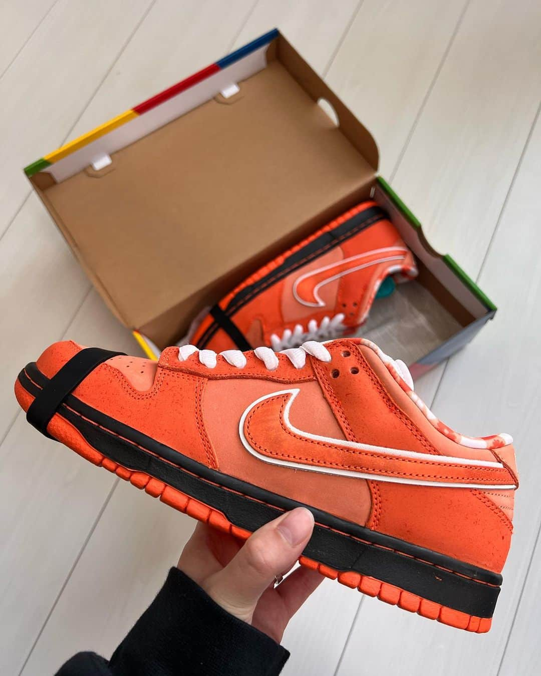 岩崎藍さんのインスタグラム写真 - (岩崎藍Instagram)「. . 🦐 CONCEPTS × NIKE SB DUNK LOW "ORANGE LOBSTER" . . #nike #dunk #nikedunk #dunksb #lobster #orangelobster #concepts #ロブスター #sneakers #sneakerheads #sneakerhead #sneakersaddict #sneakergallery #sneakerfiles #sneakerfreaker #sneakerness #sneakerporn #dunksblow」3月4日 14時44分 - ai0806ai