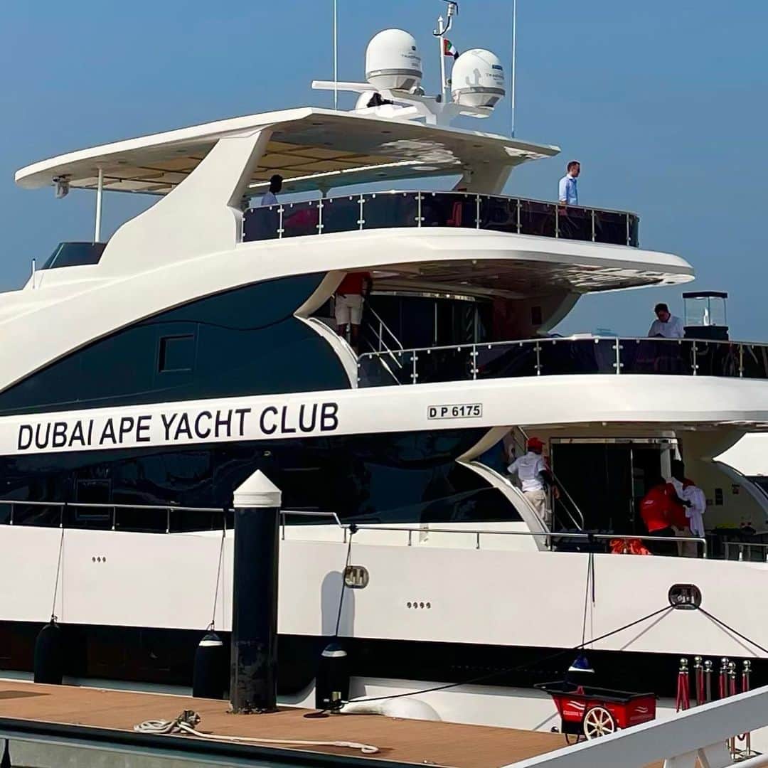 せきぐちあいみさんのインスタグラム写真 - (せきぐちあいみInstagram)「I did VR live painting at the Bored Ape Yacht Party held on a real yacht in Dubai yesterday⛴🇦🇪 It was very exciting! Thank you🙏🏻✨  #BAYC #BoredApeYachtClub #punkape #dubai #nft #nftartist #boredapeyachtparty #yacht #boredapeyc」3月5日 0時45分 - vr_aimi
