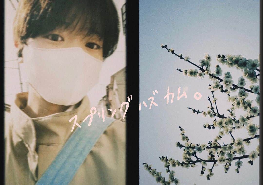野島健矢のインスタグラム：「. 𓏲巡り、恵み𓂃𓂄 ⁡ 心枯れそうになってもいつも映像の中で息すると やっぱ楽しいなぁって感じさせられますね ⁡ モニターに映る物語の世界が、作品の欠片達が いつだって自分をワクワクさせてくれます ⁡ ⁡ ここ最近になって初心に還るようなことが 他者との関わりや、自分の感情、作品の影響を 通してまっすぐに感じさせられることが重なり ⁡ なんだか少し懐かしい気持ちと再会の喜びがあって ⁡ ここからまた一歩ずつだなって唱える日々です ⁡ ⁡ 3月になって春の訪れを感じながら撮影に向かい ⁡ そこでいつかご一緒したかったと、伝えてもらって それはもうこっちもずっと思ってたことです、って そんな言葉と思いに救われながら今日も生きてます ⁡ ⁡ このお仕事を通して巡り合いがどれだけ大切な事か 身に染みて、感じるからこそ ⁡ そういう出会いがたまらなく力になりますね ⁡ ⁡ いつだってそう思ってもらえるような活動を その言葉に見合う人間力をこれからもつけたいです ⁡ ⁡ 𓂃𓂃𓂃𓂃𓂃𓂃𓂃𓂃𓂃𓂃𓂃𓂃𓂃𓂃𓂃𓂃𓂃 ⁡ ⁡ #photo #film #portrait #spring #のじけん日記 ⁡」