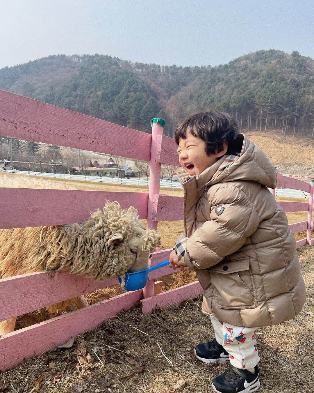 キム・ヒナのインスタグラム：「아들 친구들과 함께한 일박이일 여행 너무너무 행복해하고 즐거운 꽉찬 생일 이였다! 벌써 세돌이라니 정말 너무 시간이 빠르다🥹.. 천천히 커주라!! 엄마 아빠 아들로 태어나줘서 정말 너무너무 감사해 사랑해 아들 하트앙❤️❤️」