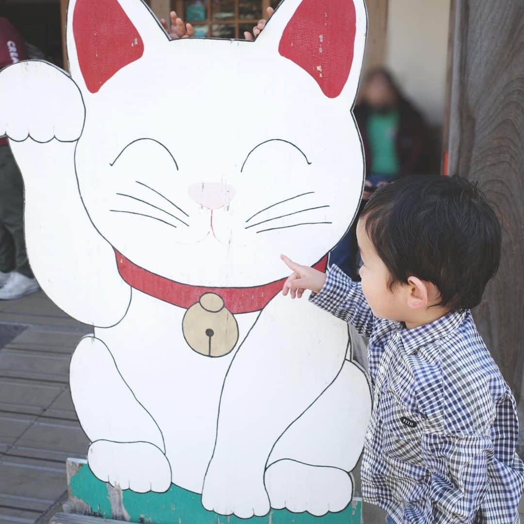 吉田明世さんのインスタグラム写真 - (吉田明世Instagram)「我が家の恒例行事🐈 世田谷区にある豪徳寺へ 1年間お世話になった招き猫を奉納してきました🙏  娘の希望で年々大きくなる招き猫。。 今年は、 大きいにゃーにゃがいい娘と 小さいにゃーにゃがいい息子とで 意見が割れ、  結果、大きな招き猫と小さな招き猫をお迎えしました🐈🐈  1年間、よろしくお願いします🙇‍♀️  #豪徳寺 #豪徳寺招き猫 #招き猫奉納  #恒例行事 #お世話になった招き猫にバイバイするふたり #いつまで一緒に行ってくれるかなぁ #姉のフリフリ靴下しか履いてくれない息子と #このコーディネートしか着ない娘」3月4日 18時26分 - akiyo0414