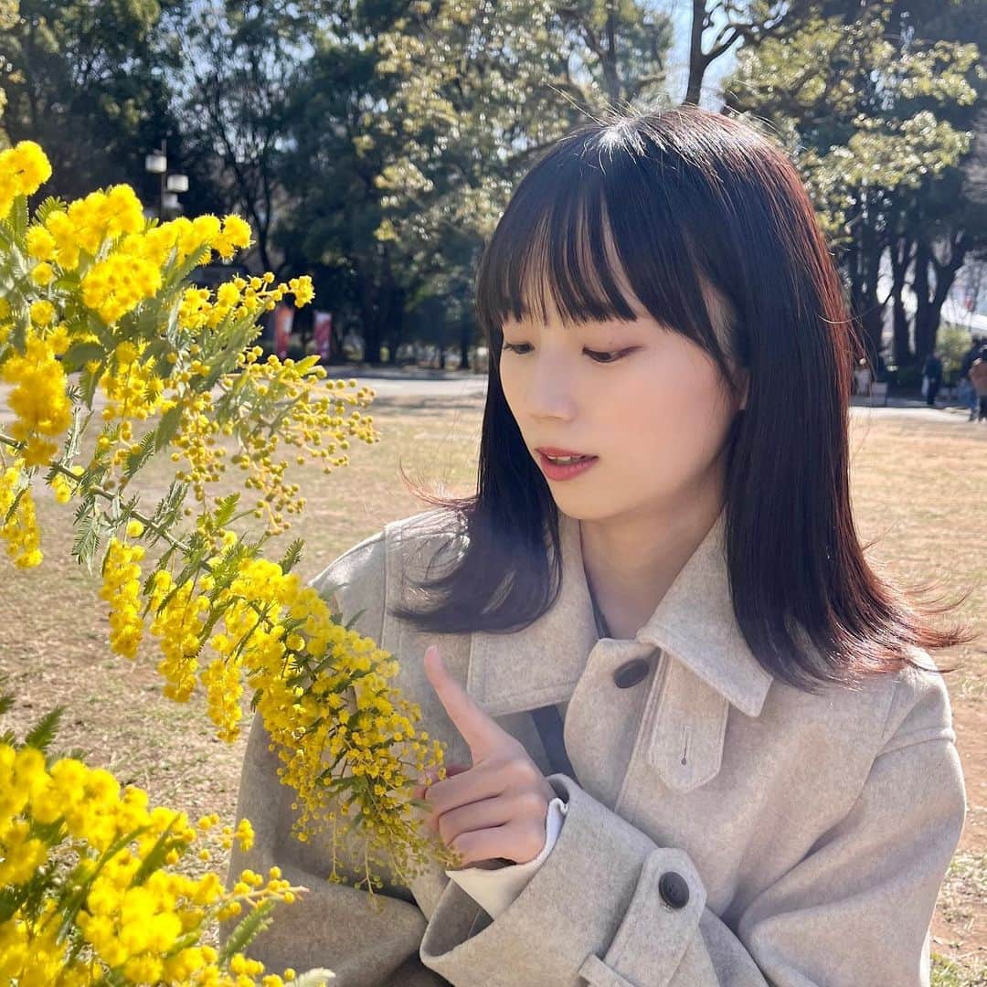 有働優菜さんのインスタグラム写真 - (有働優菜Instagram)「お花と戯れてきた🌼 3枚あるよ」3月4日 19時48分 - yuna_udo_