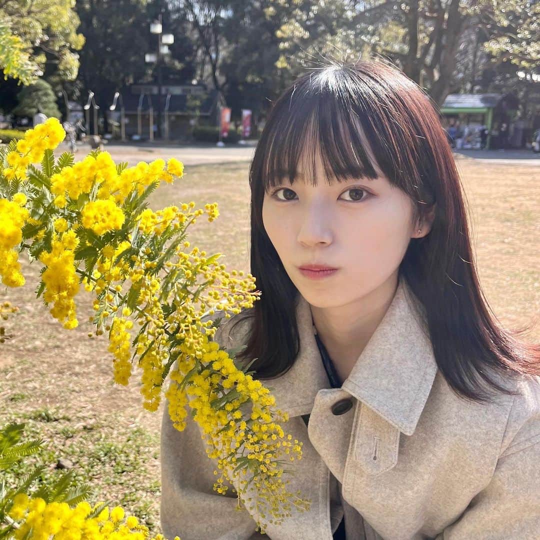 有働優菜さんのインスタグラム写真 - (有働優菜Instagram)「お花と戯れてきた🌼 3枚あるよ」3月4日 19時48分 - yuna_udo_