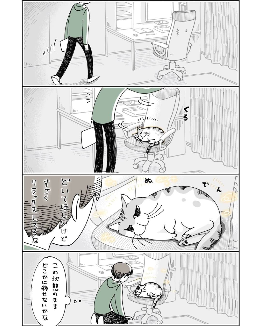 キュルZのインスタグラム：「ネコを移す  #キュルガ #夜は猫といっしょ #猫 #cat #猫漫画 #猫のいる暮らし」