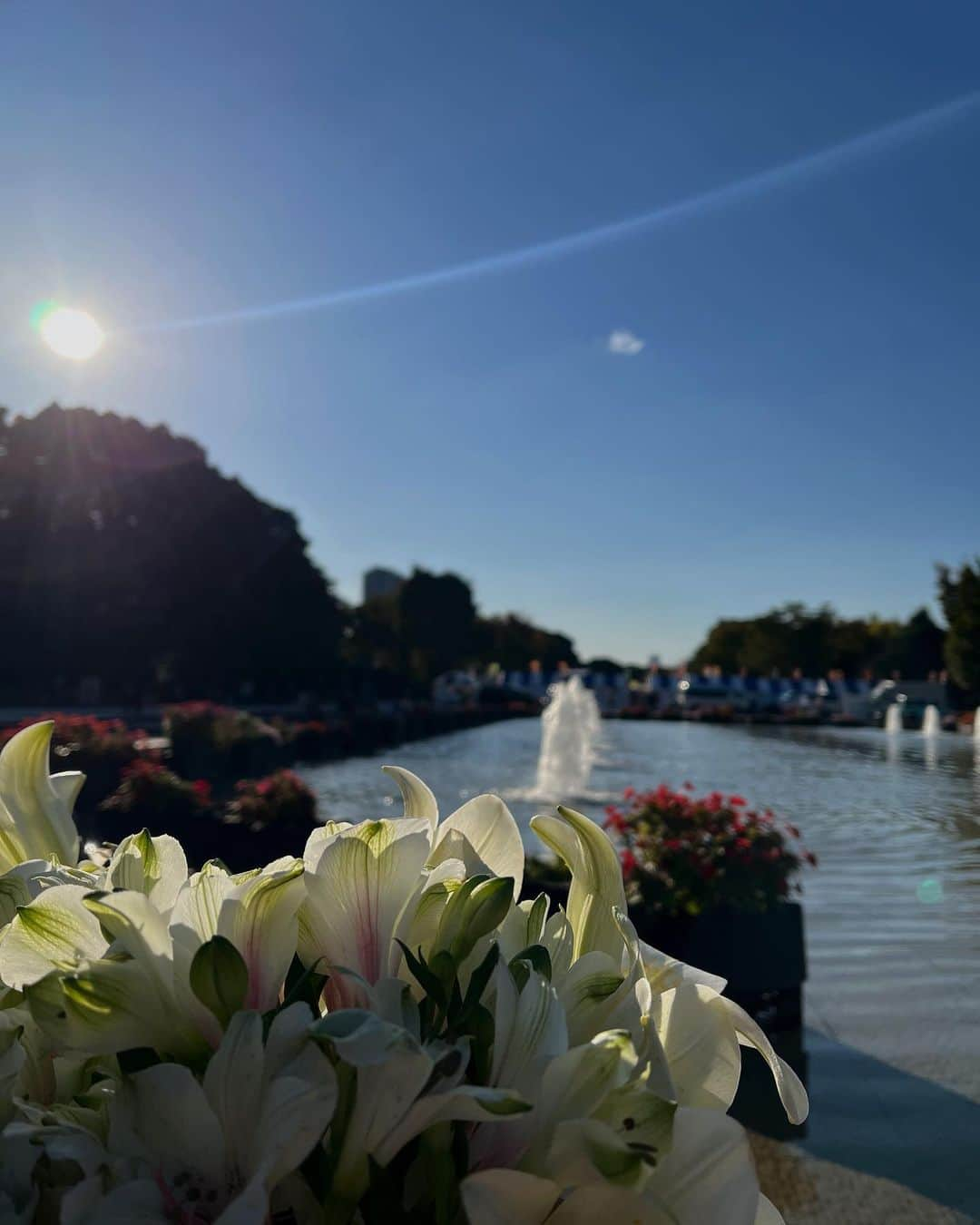 若本美夏海のインスタグラム：「ついぼーっとしちゃう⛲️」