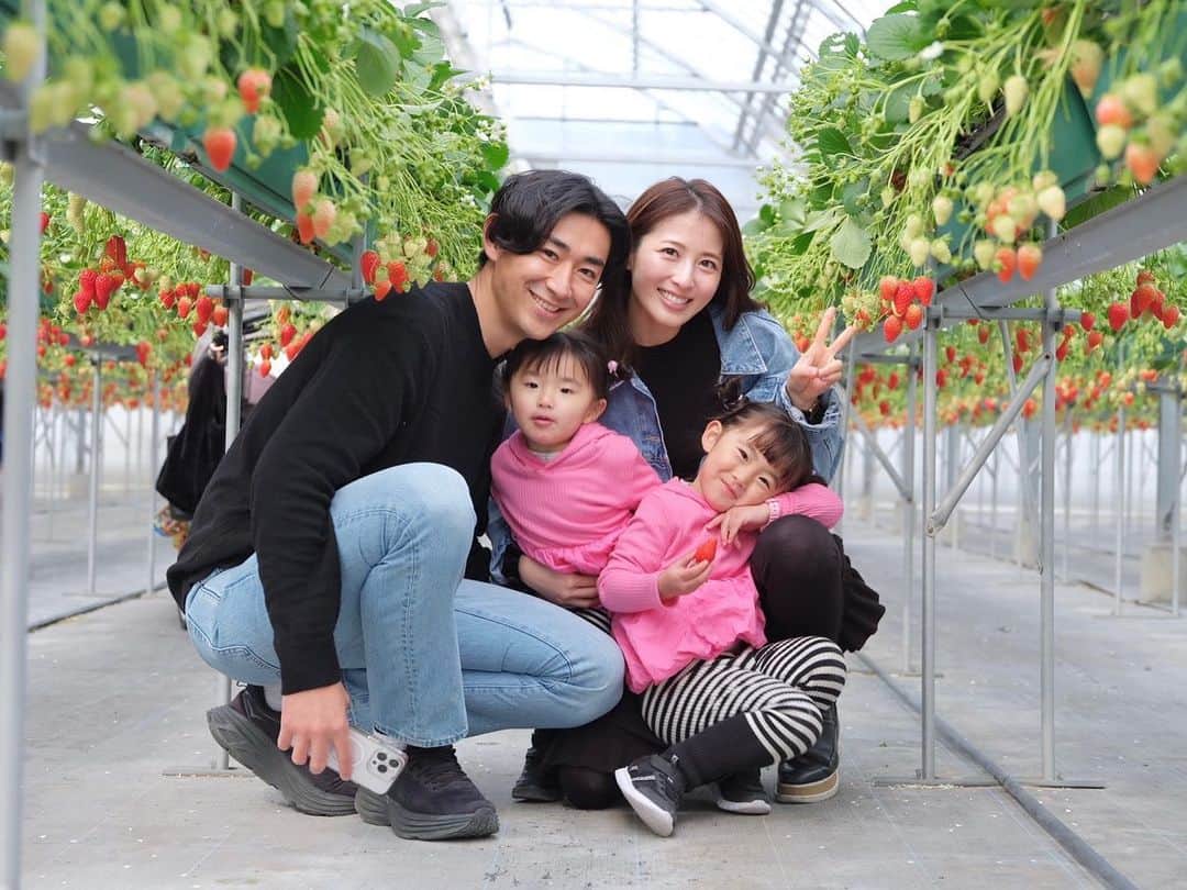 加藤千暁のインスタグラム：「今年もいちご狩り行けた🍓 2枚目のさくらはの表情もふうかのポーズもかわちい 3枚目はソロ写真 4枚目すきをみてなんさんとツーショットセルフタイマー 最近2人が面白いし可愛いし楽しい🤣笑 #いちご狩り#strawberry」