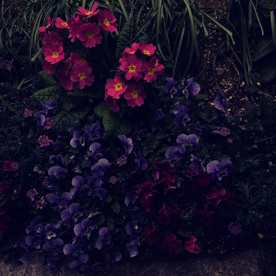 村田沙耶香さんのインスタグラム写真 - (村田沙耶香Instagram)「あたたかい夜に少し歩きました。」3月4日 22時55分 - sayaka_murata_