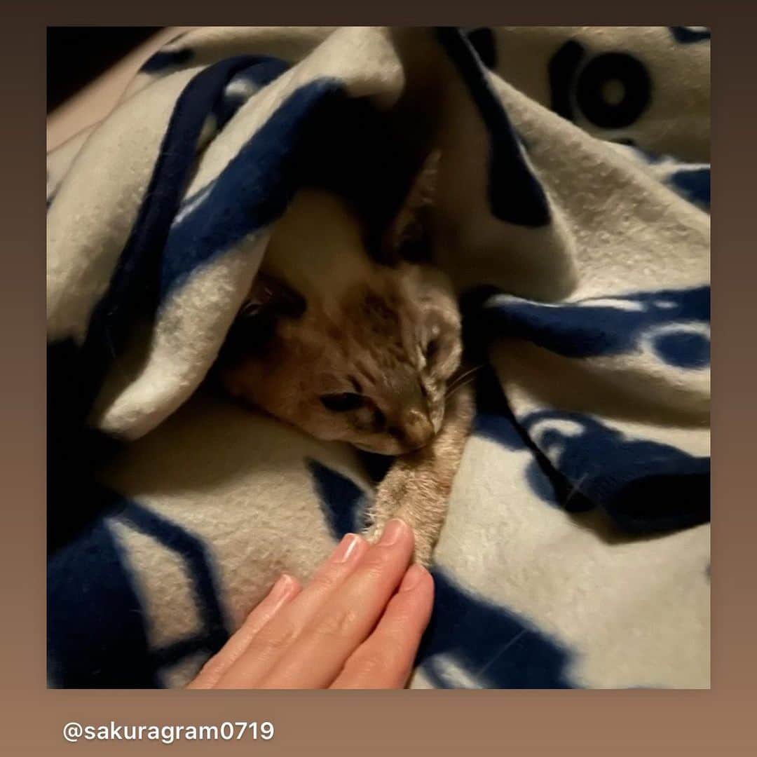 柏木美里のインスタグラム