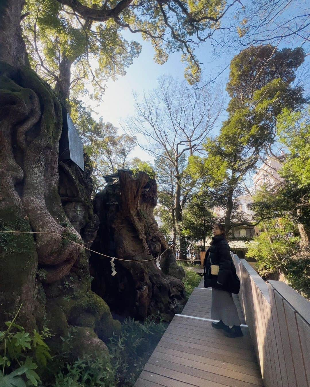 渡邉幸愛のインスタグラム：「＿＿＿＿＿＿＿  来宮神社でパワーもらいました⛩ 神社巡り、好きです♡  #熱海旅行 #来宮神社  #来宮神社のハート #来宮神社の大楠」