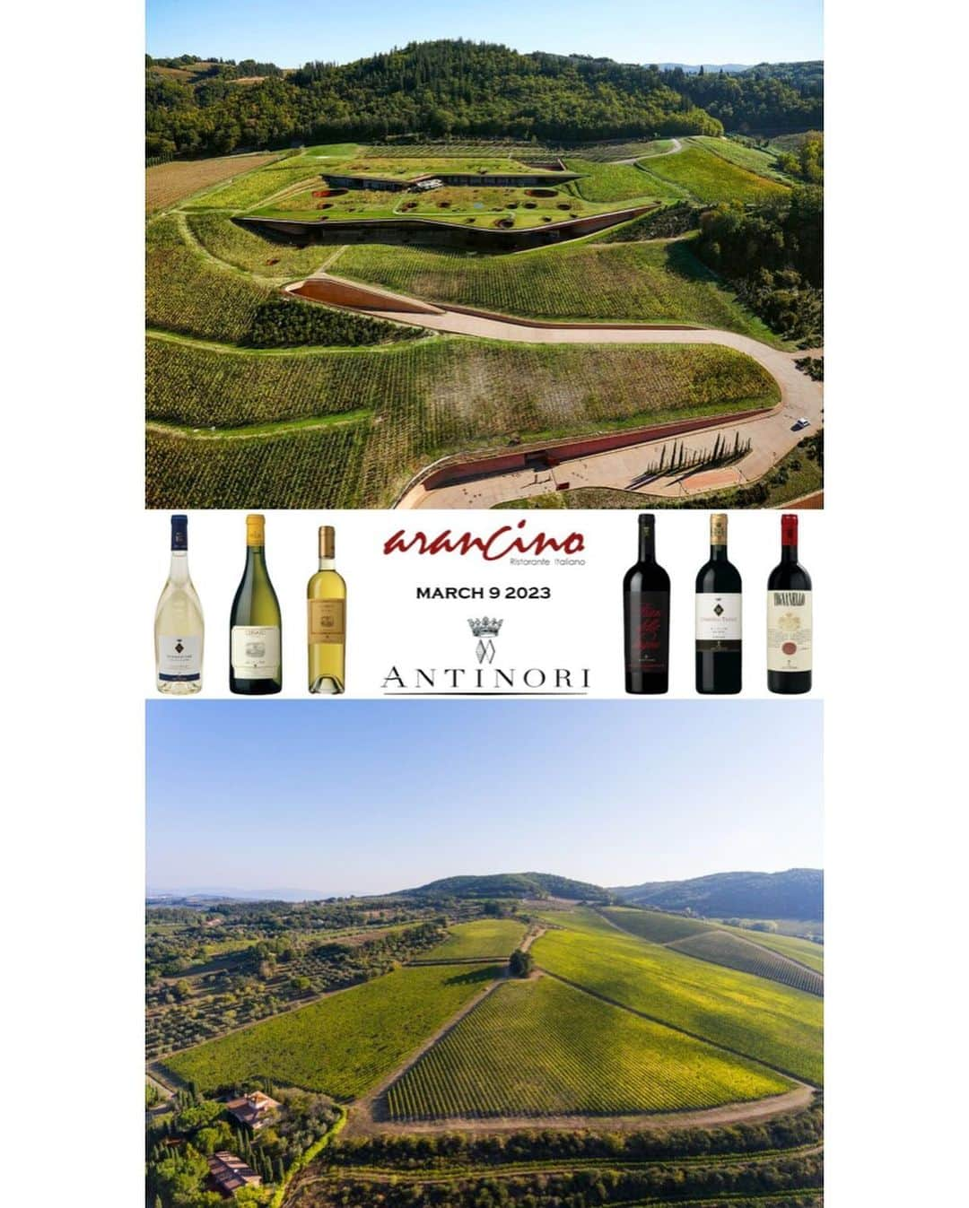 Arancino at The Kahalaのインスタグラム：「🍷🇮🇹 Only few spots left! 3/9/23 Exclusive Antinori•Arancino Winemaker’s Dinner feat. @marchesiantinori’s Silvio di Silvio & Master Sommelier Roberto Viernes’ selected wines beautifully paired with our 5 Course Menu by Chef @hamamotodaisuke73. [RESERVATIONS: 808-380-4400] 🇮🇹   #arancino #arancinoristoranteitaliano #arancinokahala #honolulu #wine #haleainaawards #kahala #hawaii #アランチーノアットザカハラ #イタリアン #パスタ #ハワイ #ホノルル #oahu #winetasting #hawaiifoodreviews #hawaiisbestkitchens #italianrestaurant #italian #prosciuttocotto #winelovers #italianfood #oahu #italy #winery #dinner #winepairing #marchesiantinori #antinorivintage #winemaker」